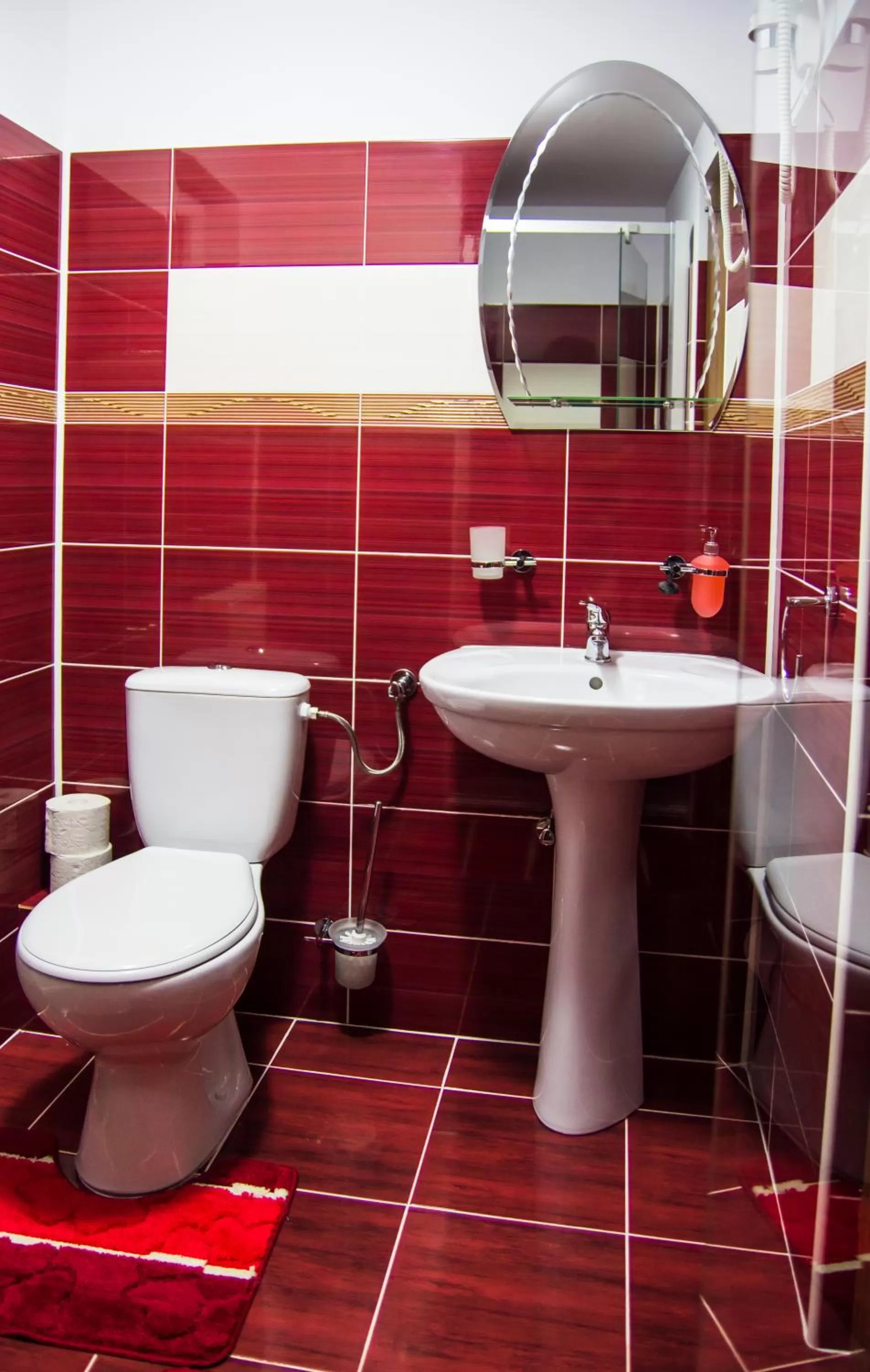 Shower, Bathroom in Pensiunea SilvAnka