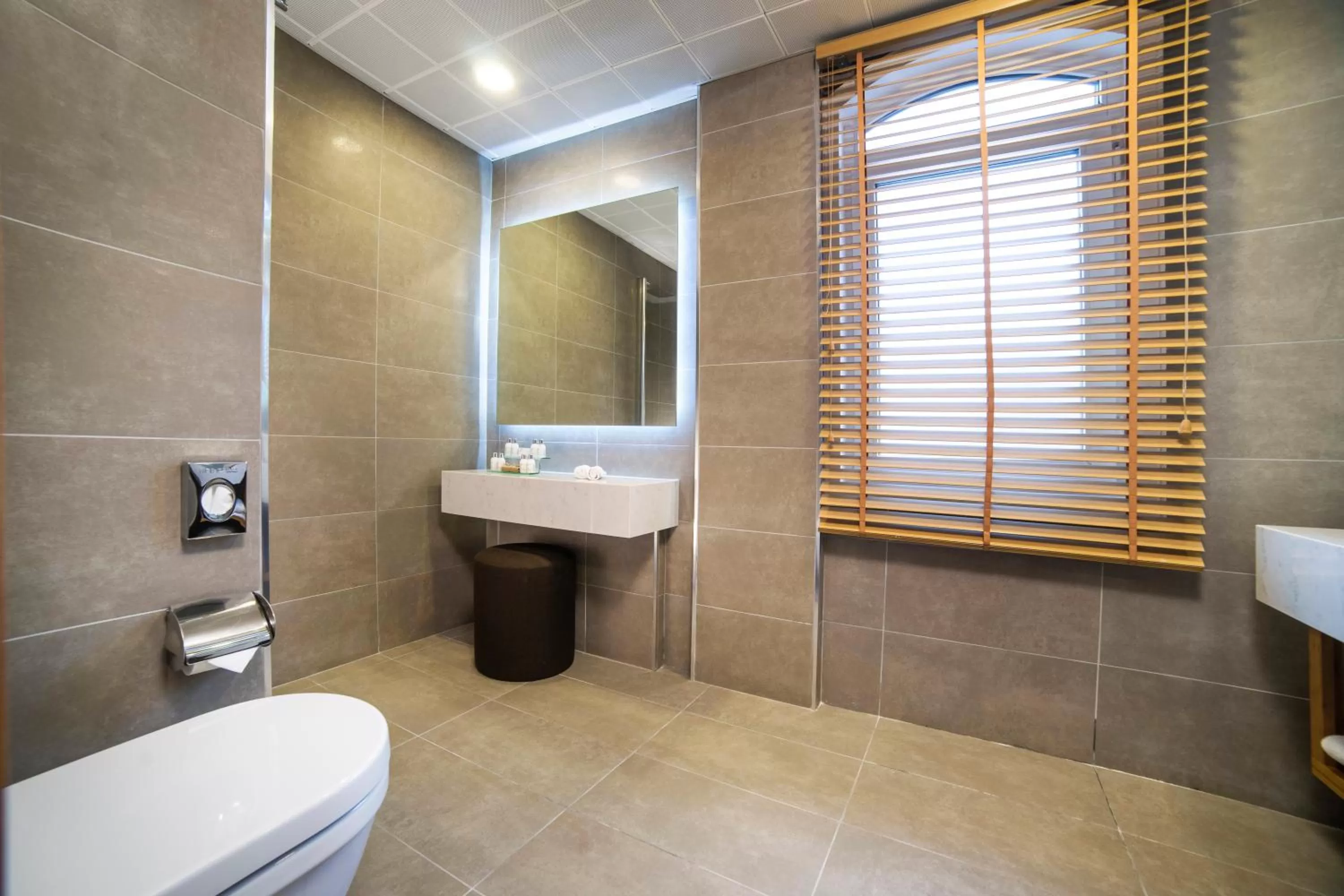 Toilet in Radisson Hotel Istanbul Sultanahmet