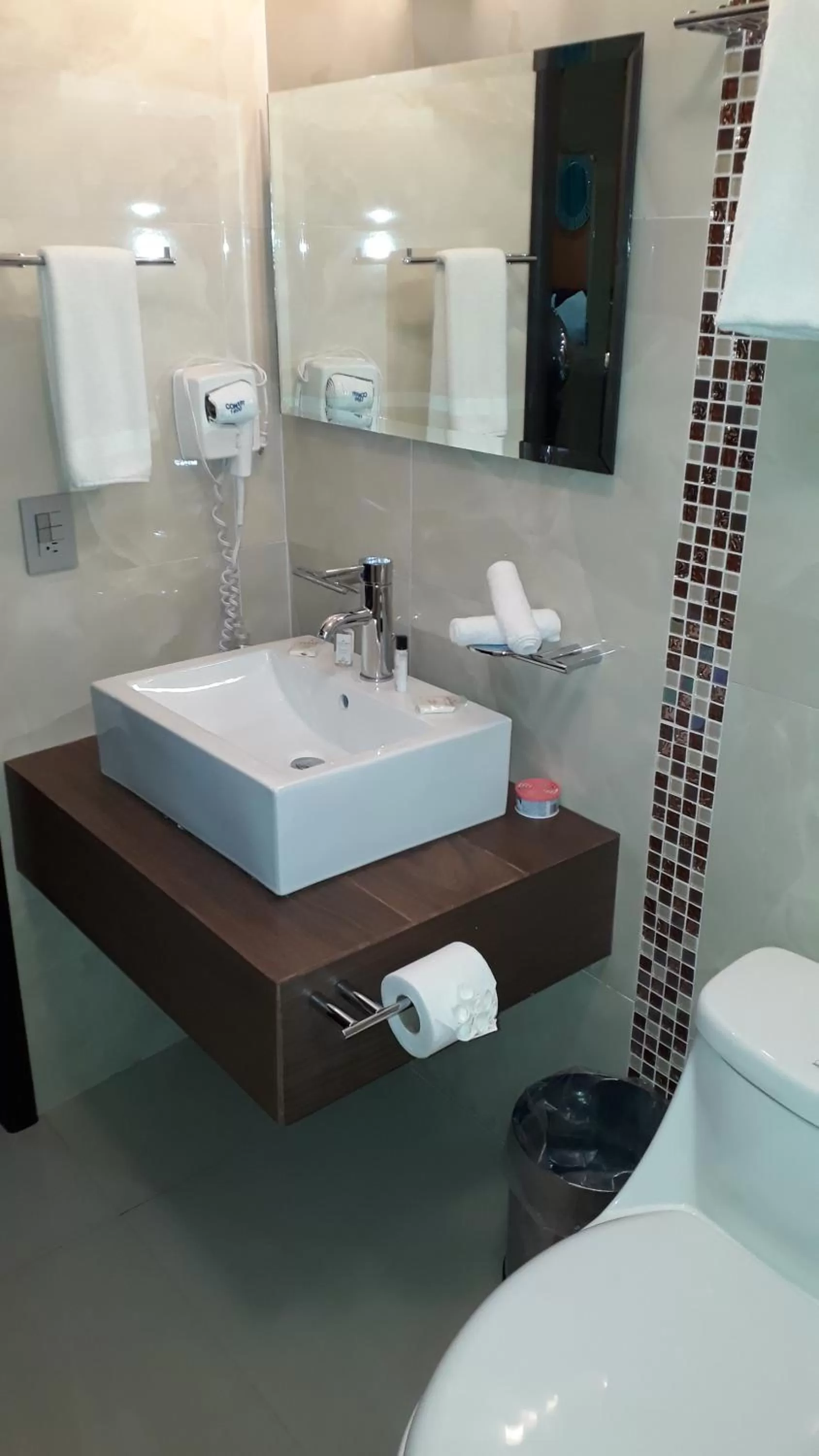 Toilet, Bathroom in Luxury Hotel Inn