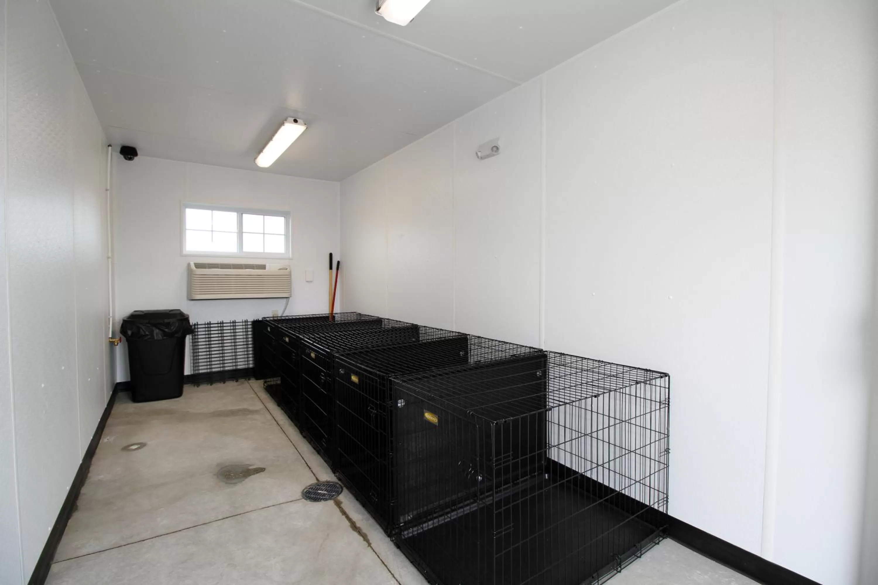 Pets in Cobblestone Hotel & Suites - Devils Lake