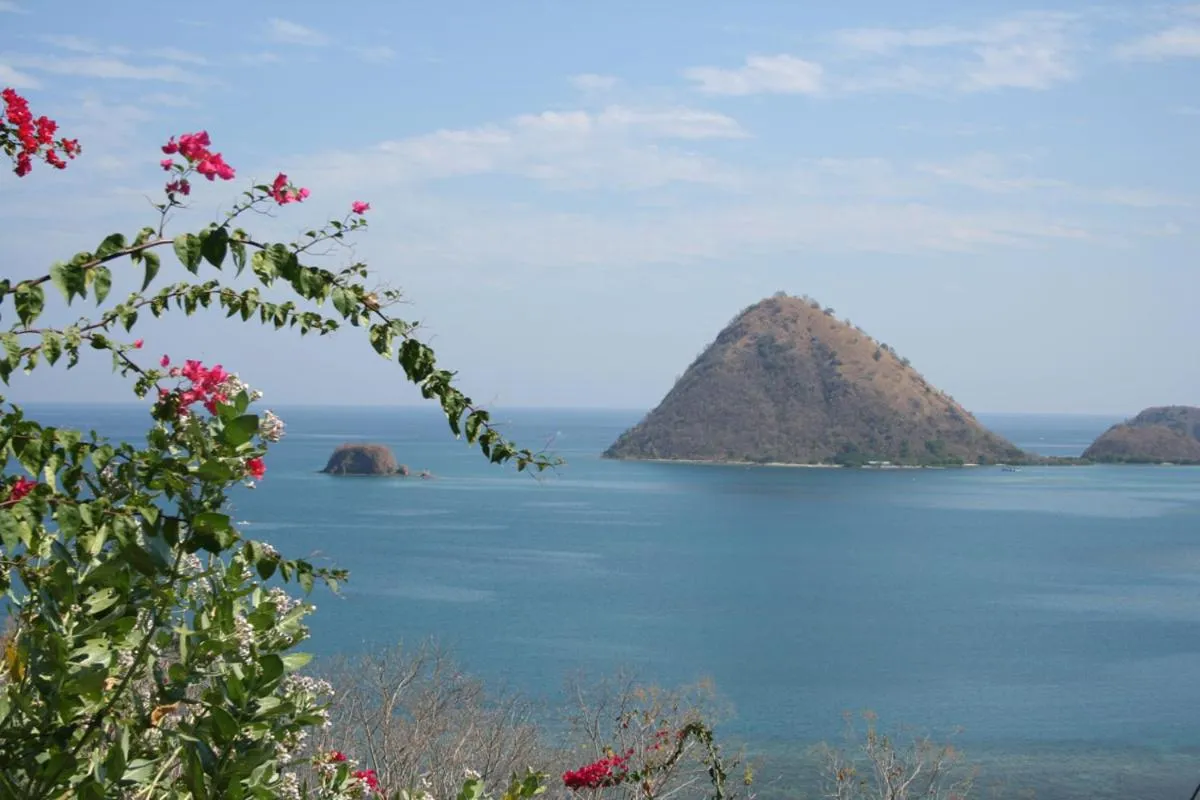 Sea view in Golo Hilltop Hotel