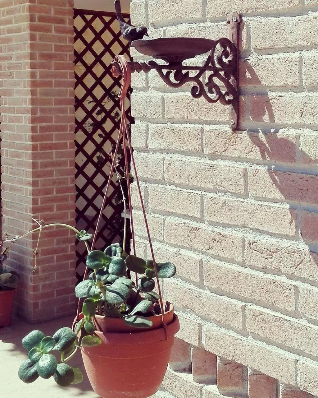 Garden view in Nenna Country