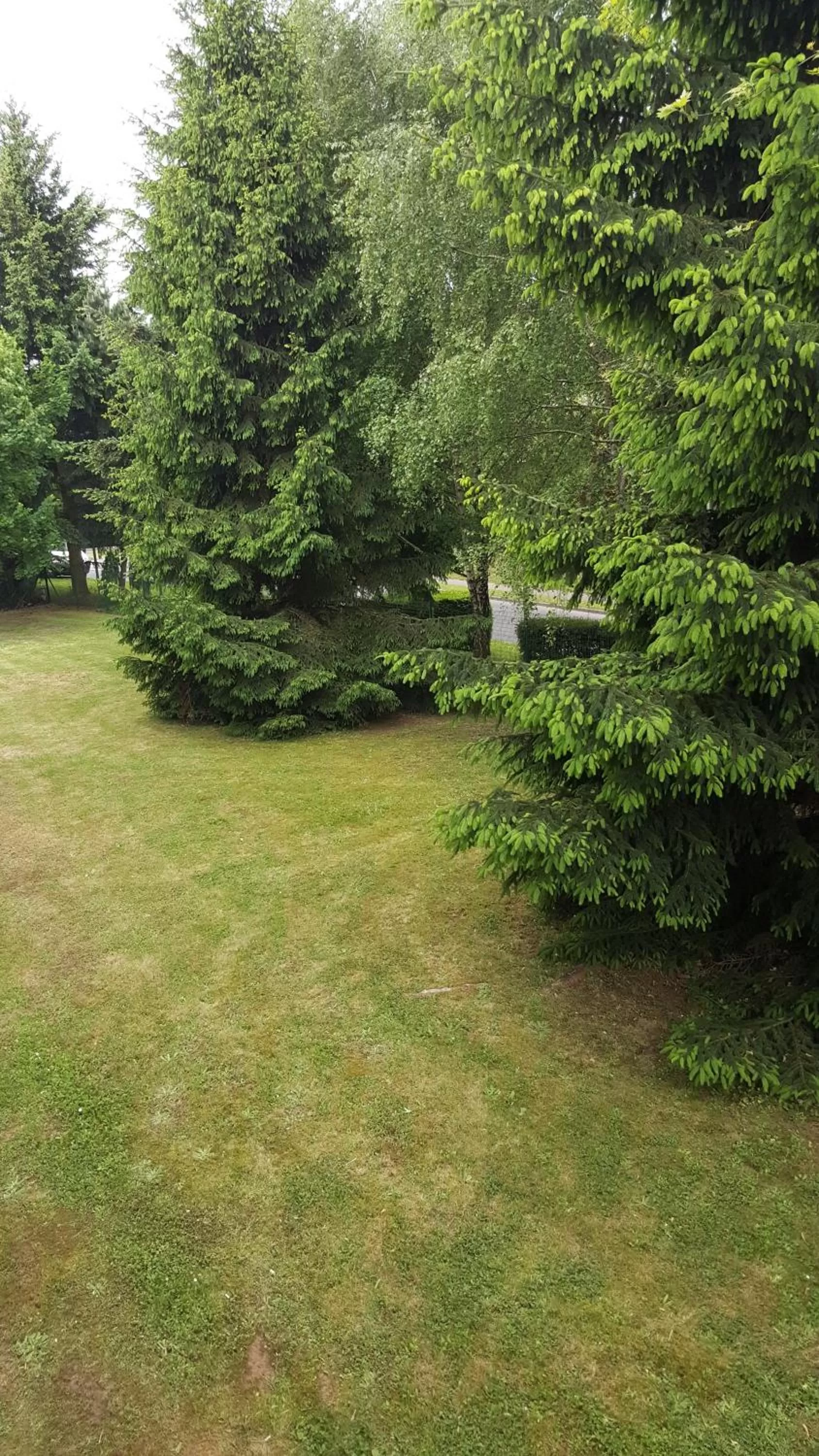 Photo of the whole room in Cit'hotel Design Booking Evry Saint-Germain-lès-Corbeil Sénart