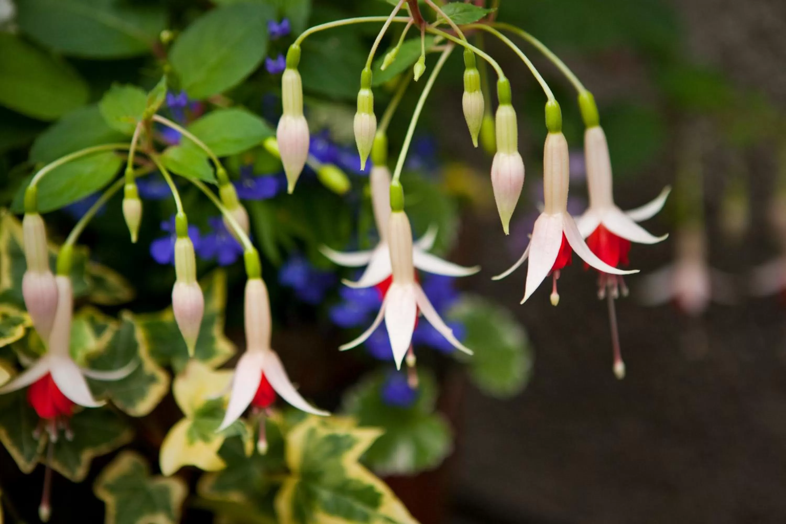 Facade/entrance in Rosehill Guest House