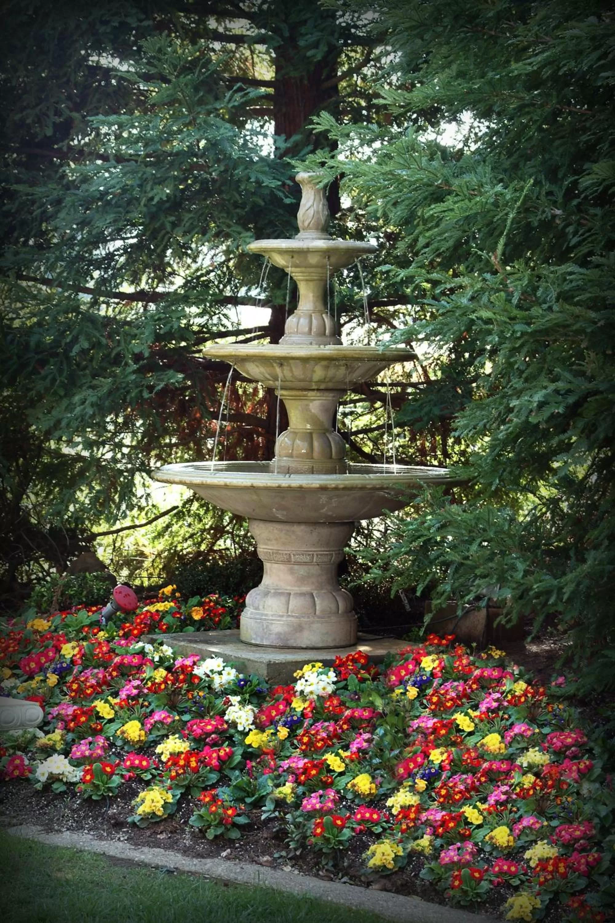 Day in Lake Natoma Inn