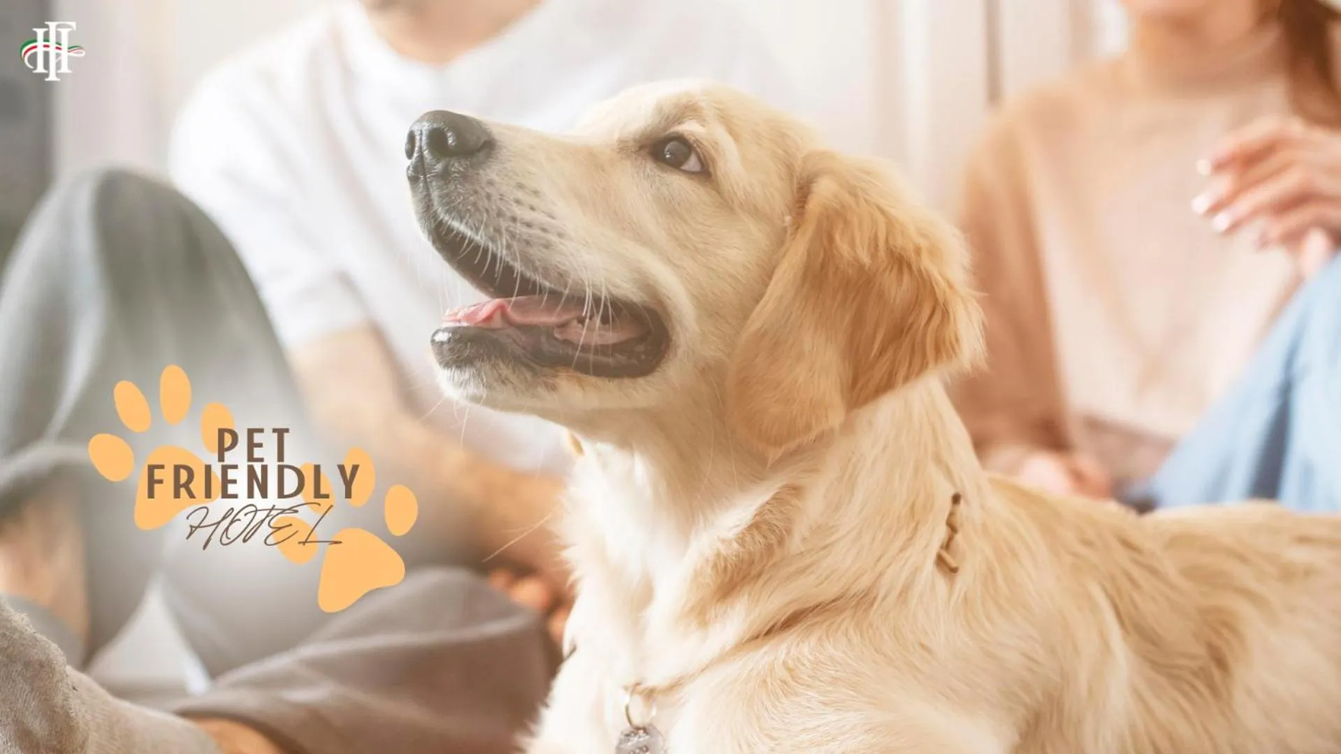 Logo/Certificate/Sign in Fracanzana Hotel