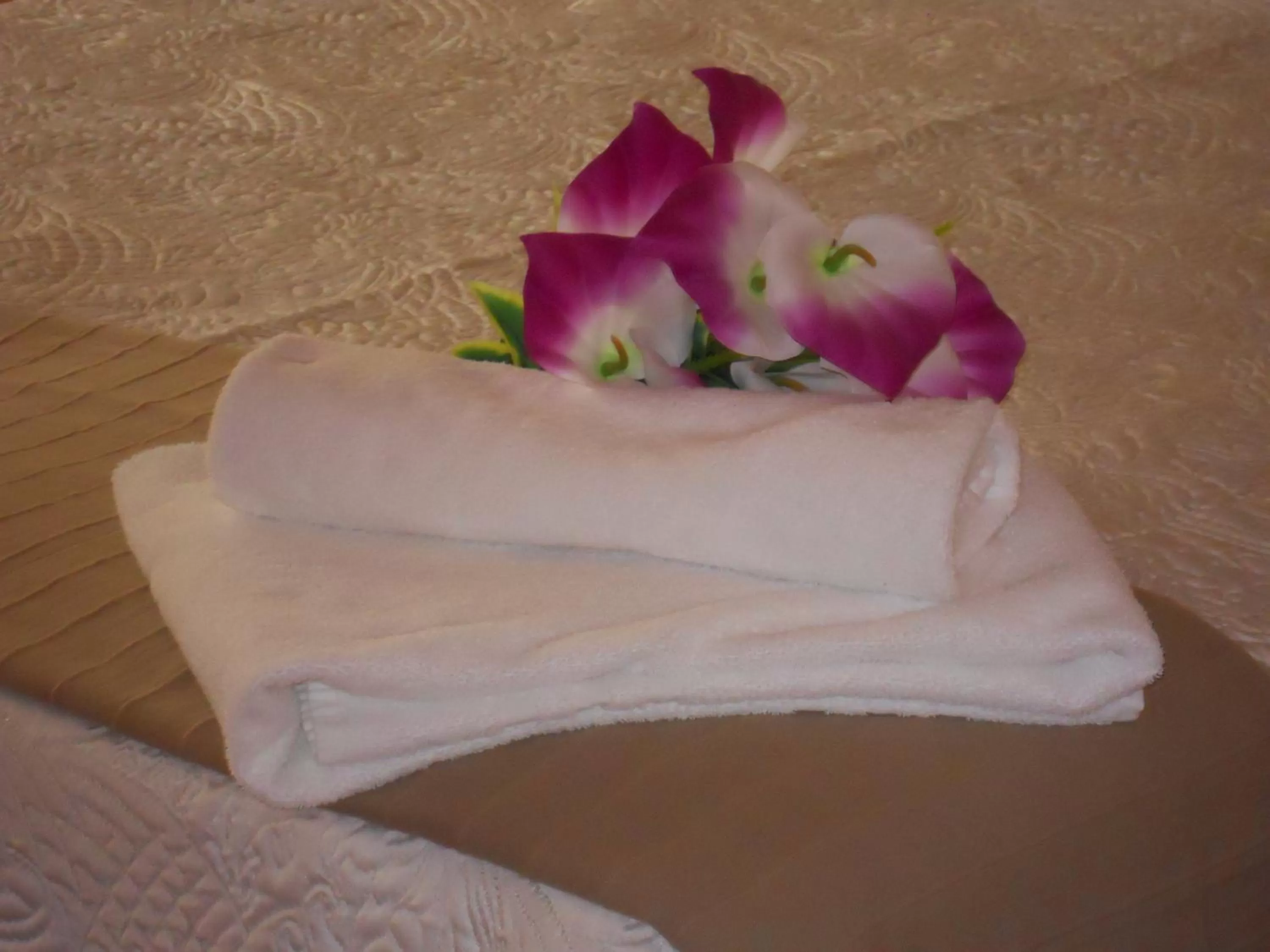 Photo of the whole room in Catania Crossing B&B - Rooms & Comforts