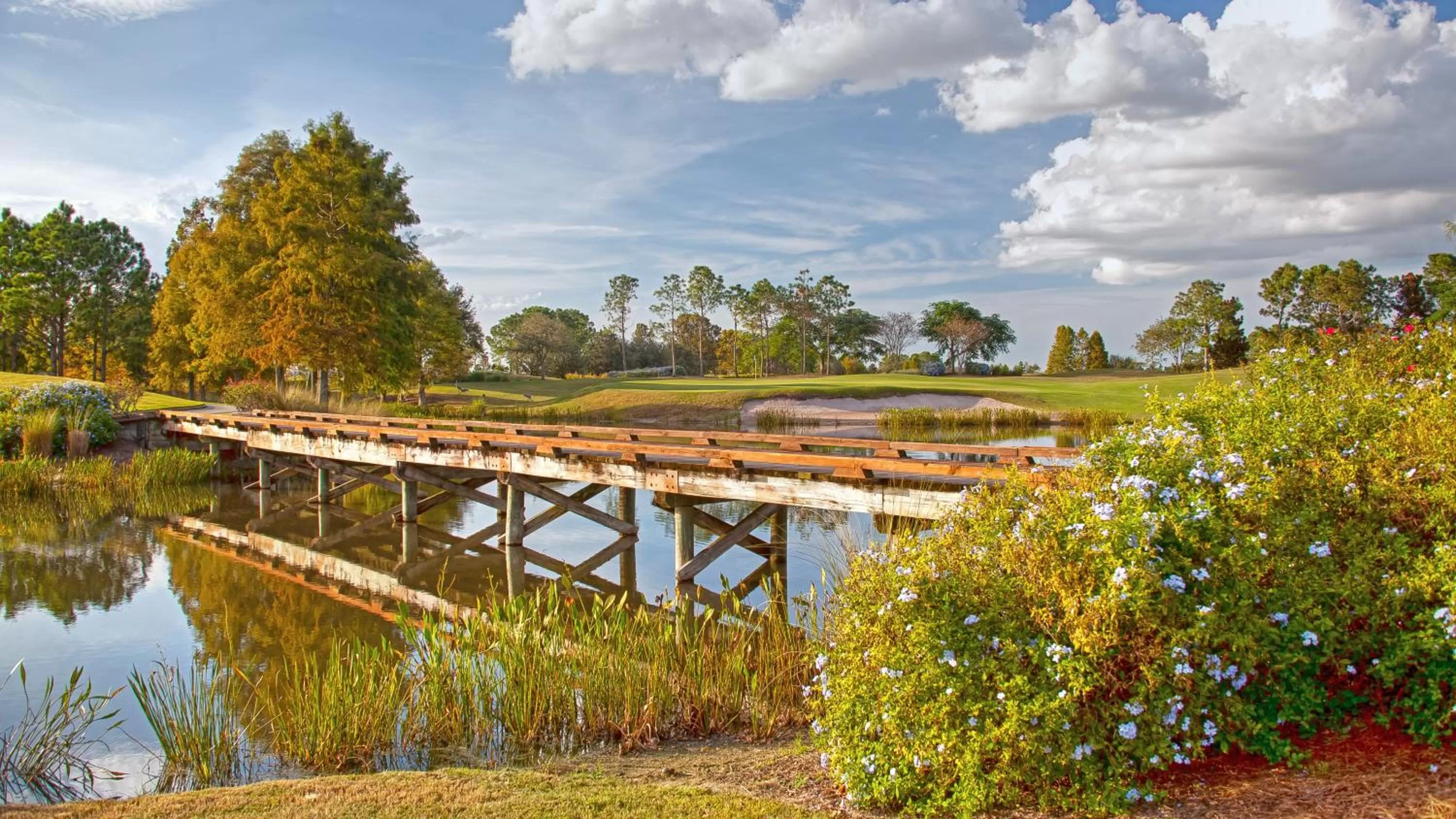 Natural landscape in Rosen Shingle Creek Universal Blvd