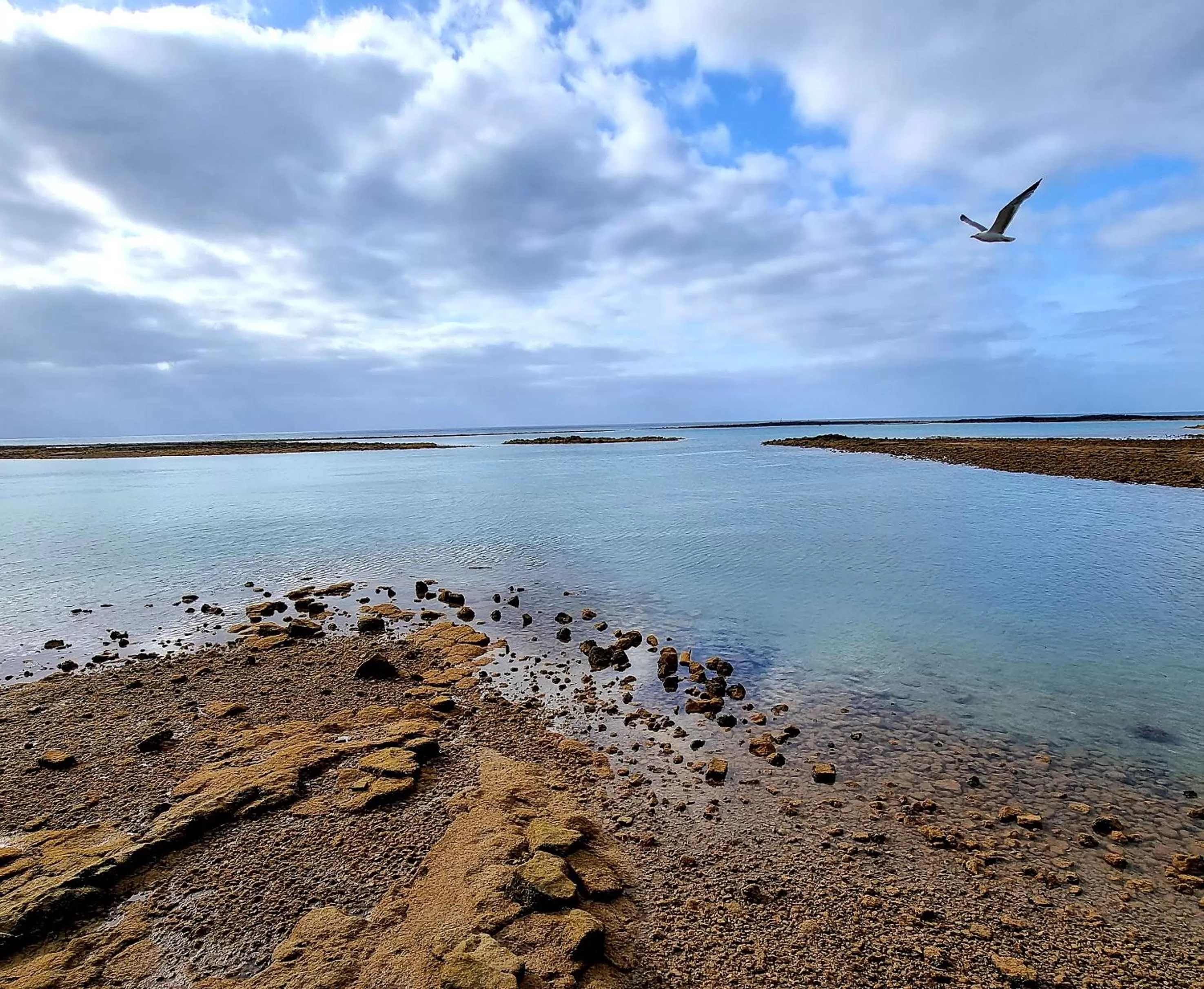 View (from property/room) in Hotel Miramar