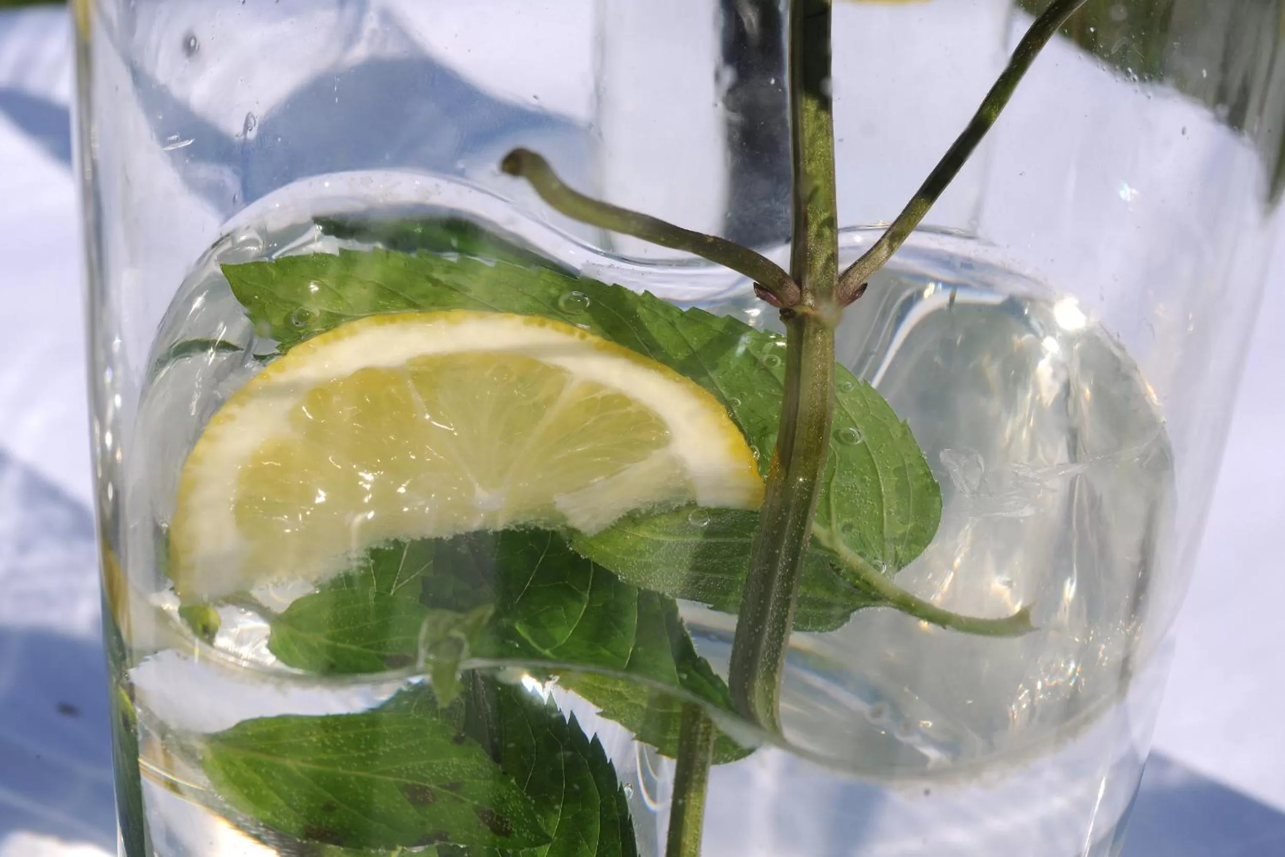 Drinks in Scheffer's Hotel