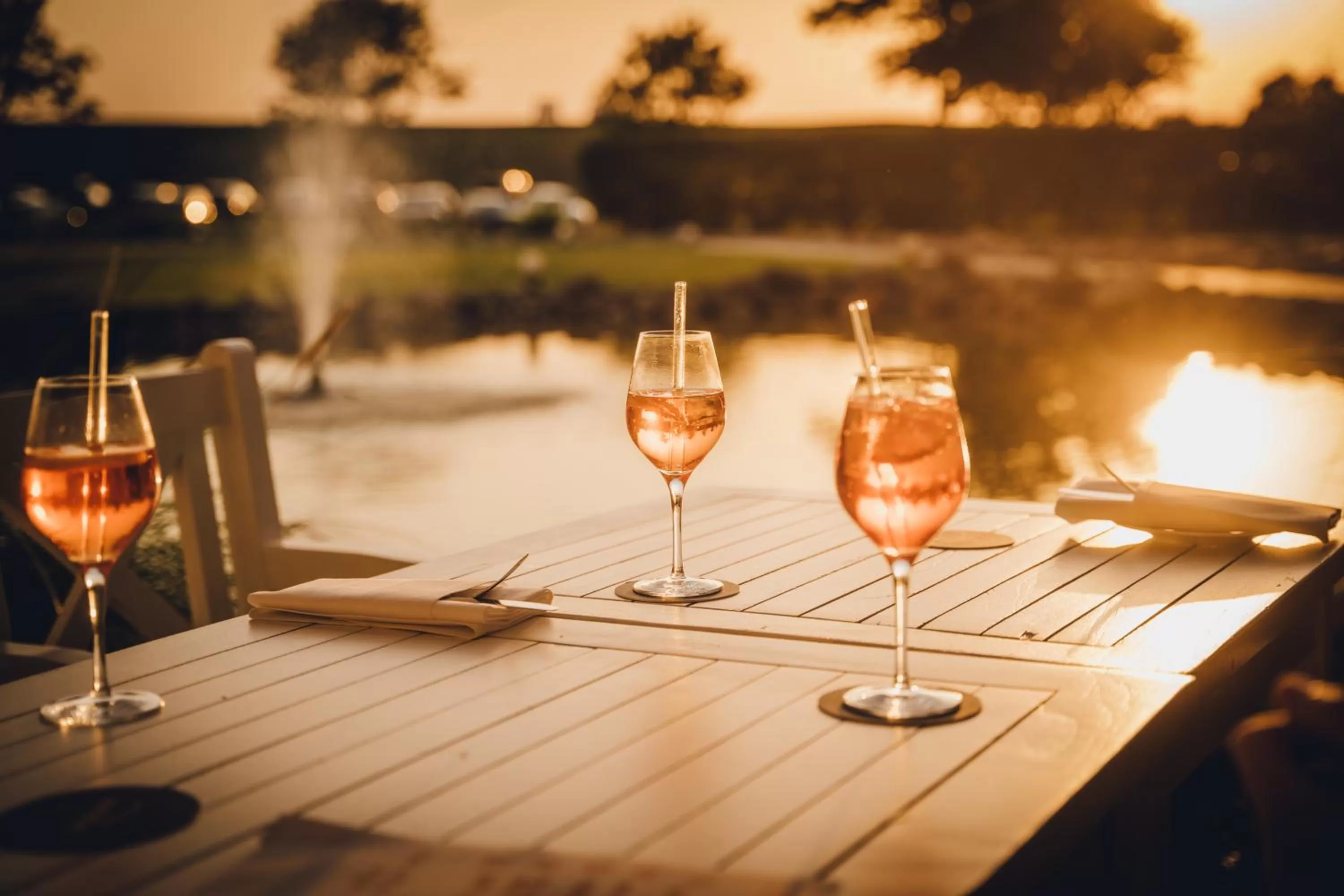 Drinks in nordica Hotel Friesenhof