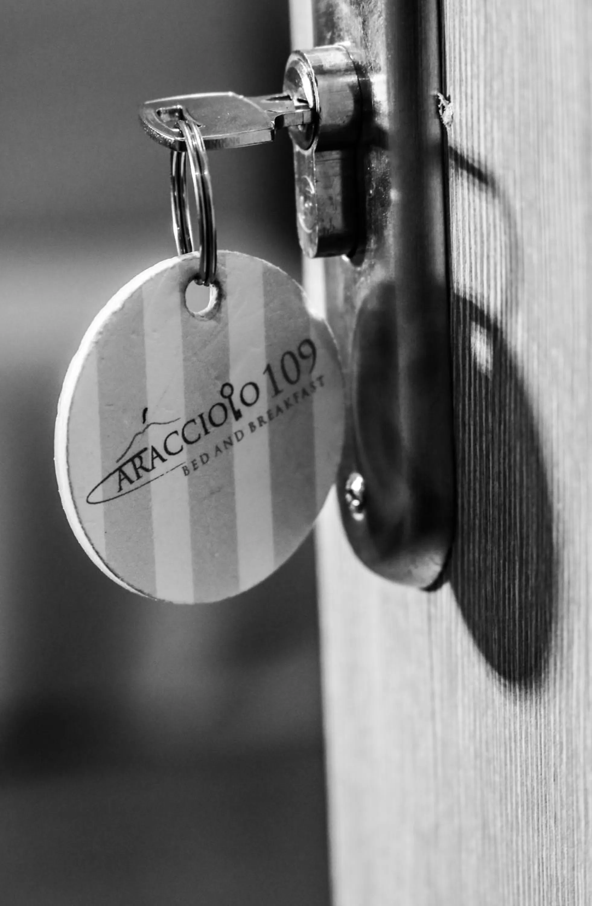 Decorative detail in B&B Caracciolo 109