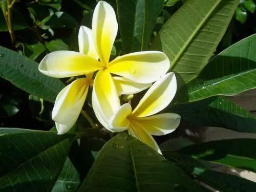 Other in Snells Beach Motel