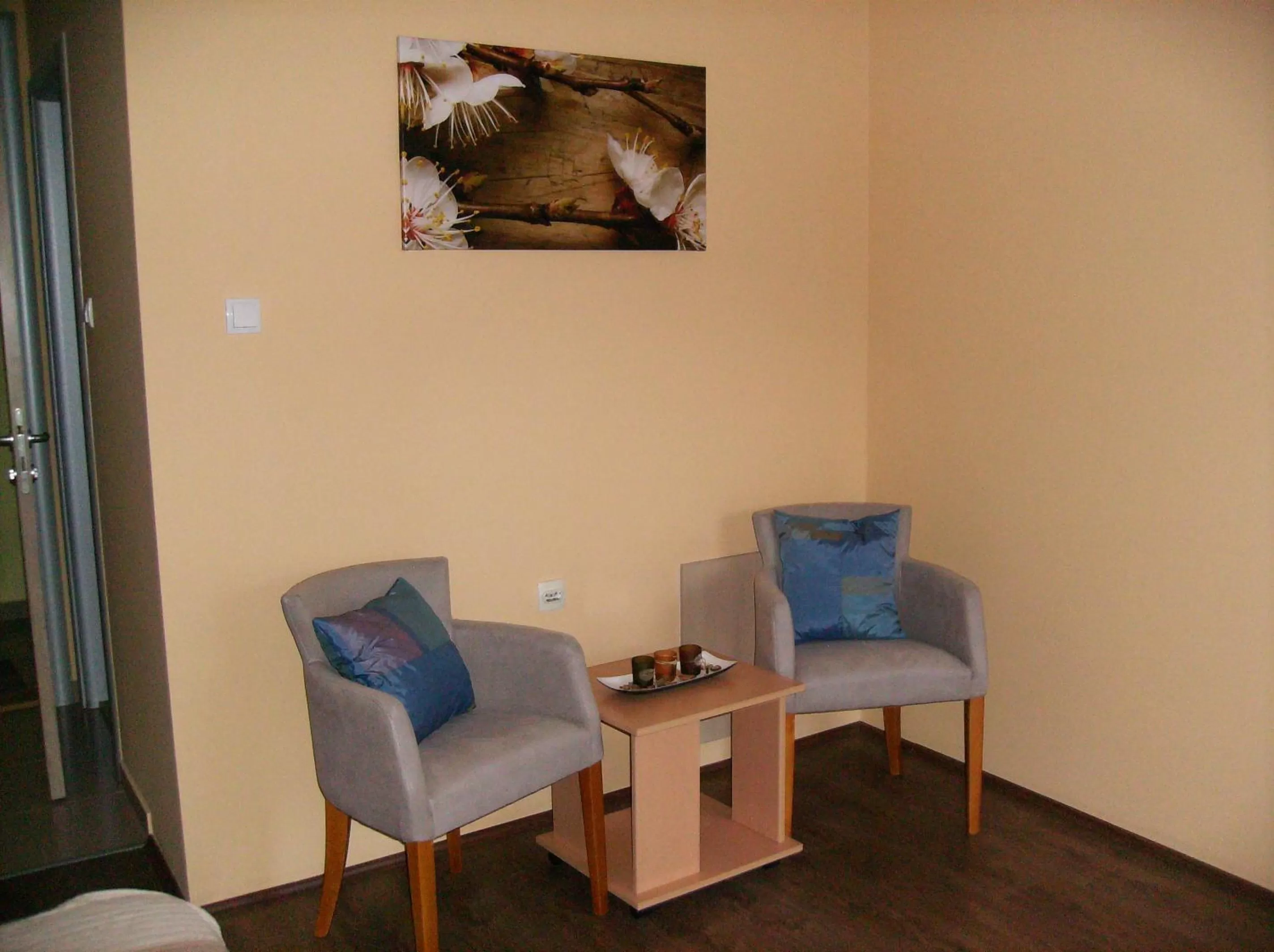 Seating area, TV/Entertainment Center in B&B Zmajevo Gnezdo 021