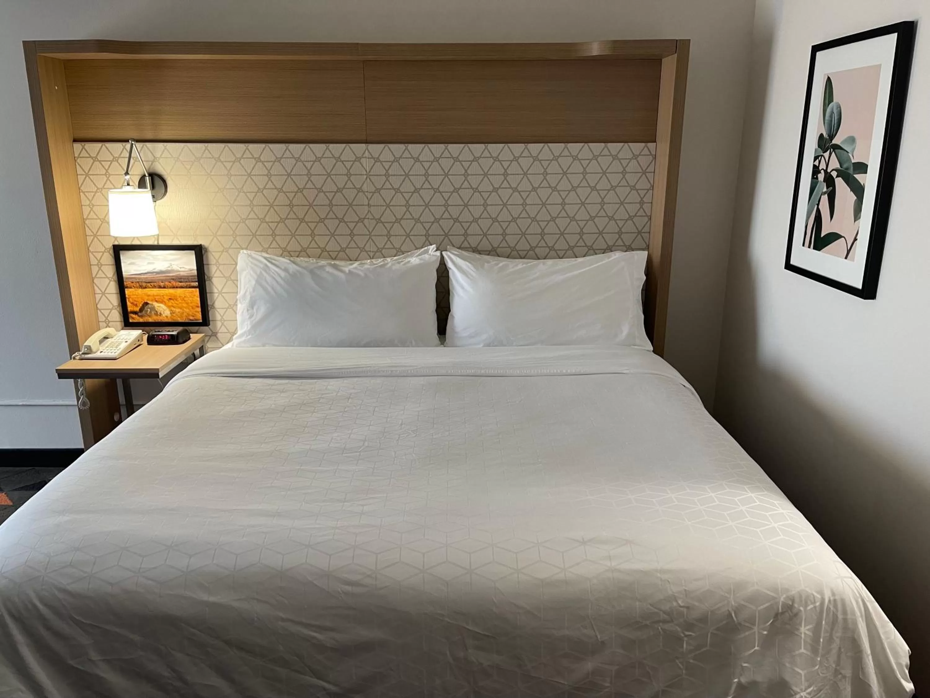 Holiday Inn Great Falls-Convention Center by IHG