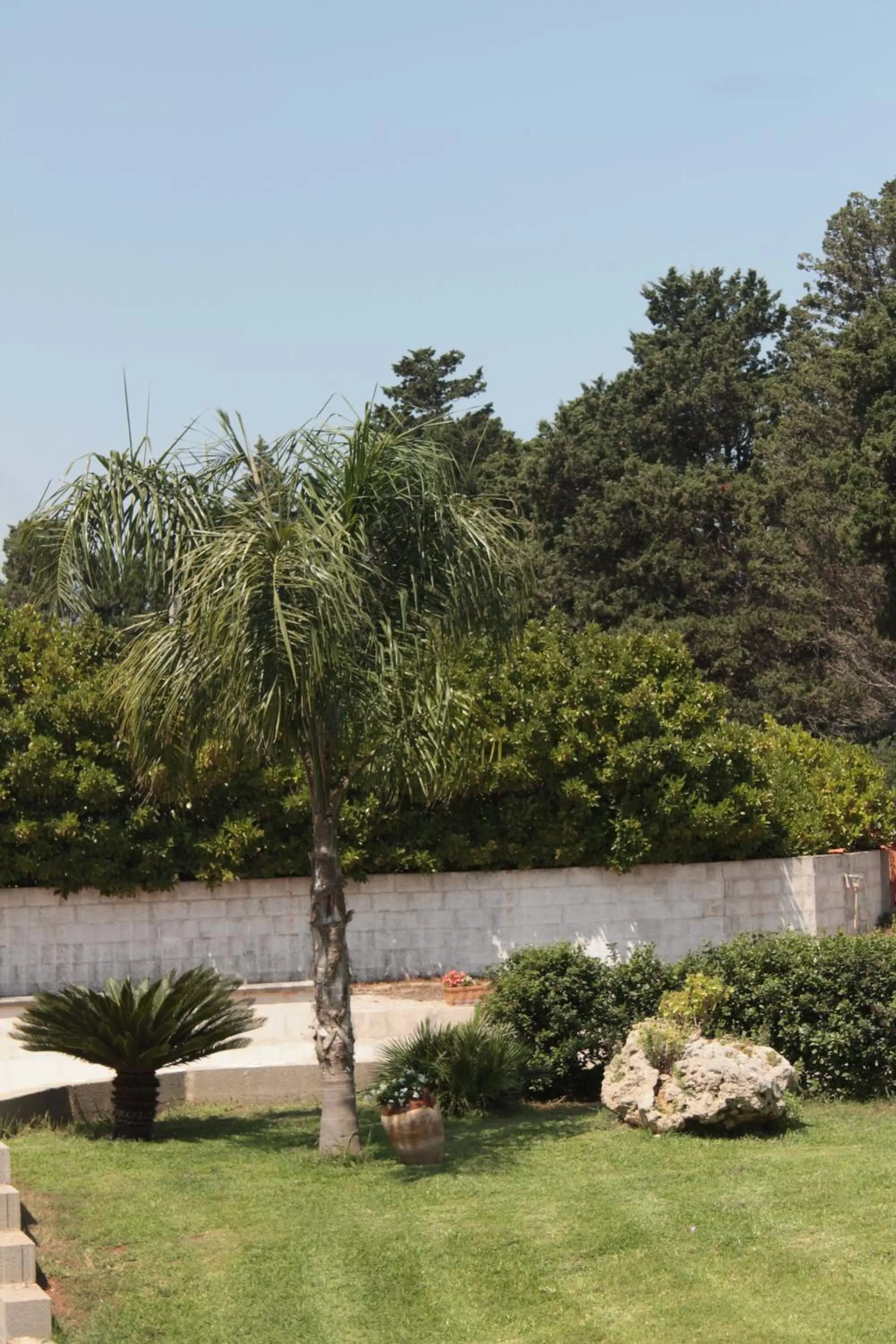 Garden in Tenuta Turchi