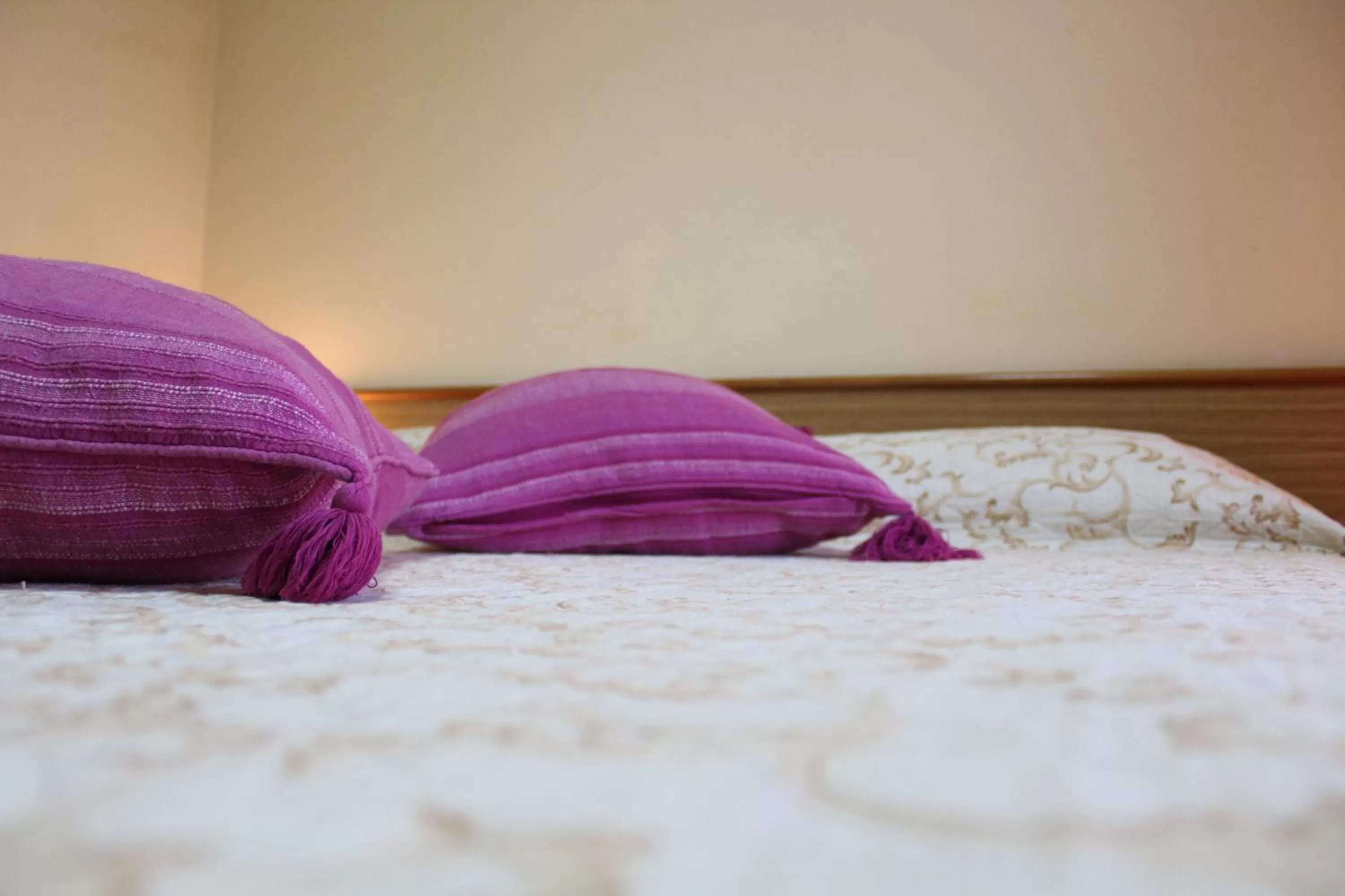 Photo of the whole room in Hotel Diana