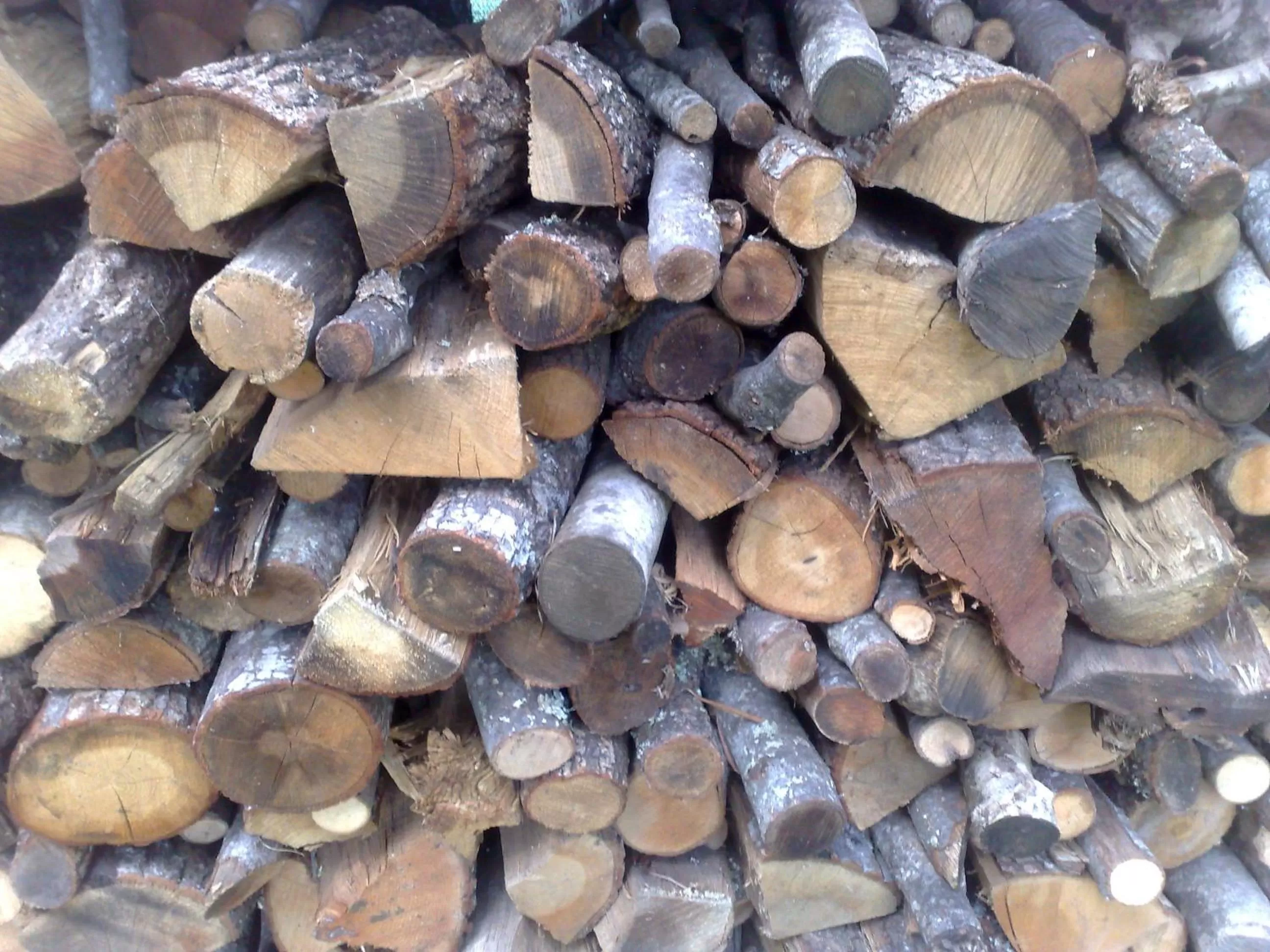 BBQ facilities, Other Animals in B&B Il Giardino di Gabri