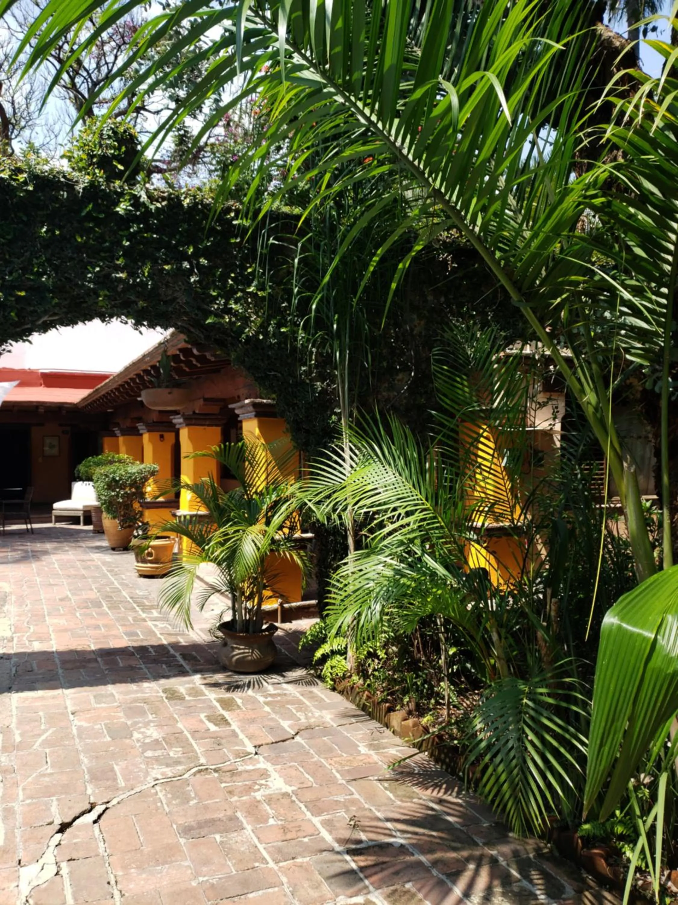 Day in La Joyita Cuernavaca