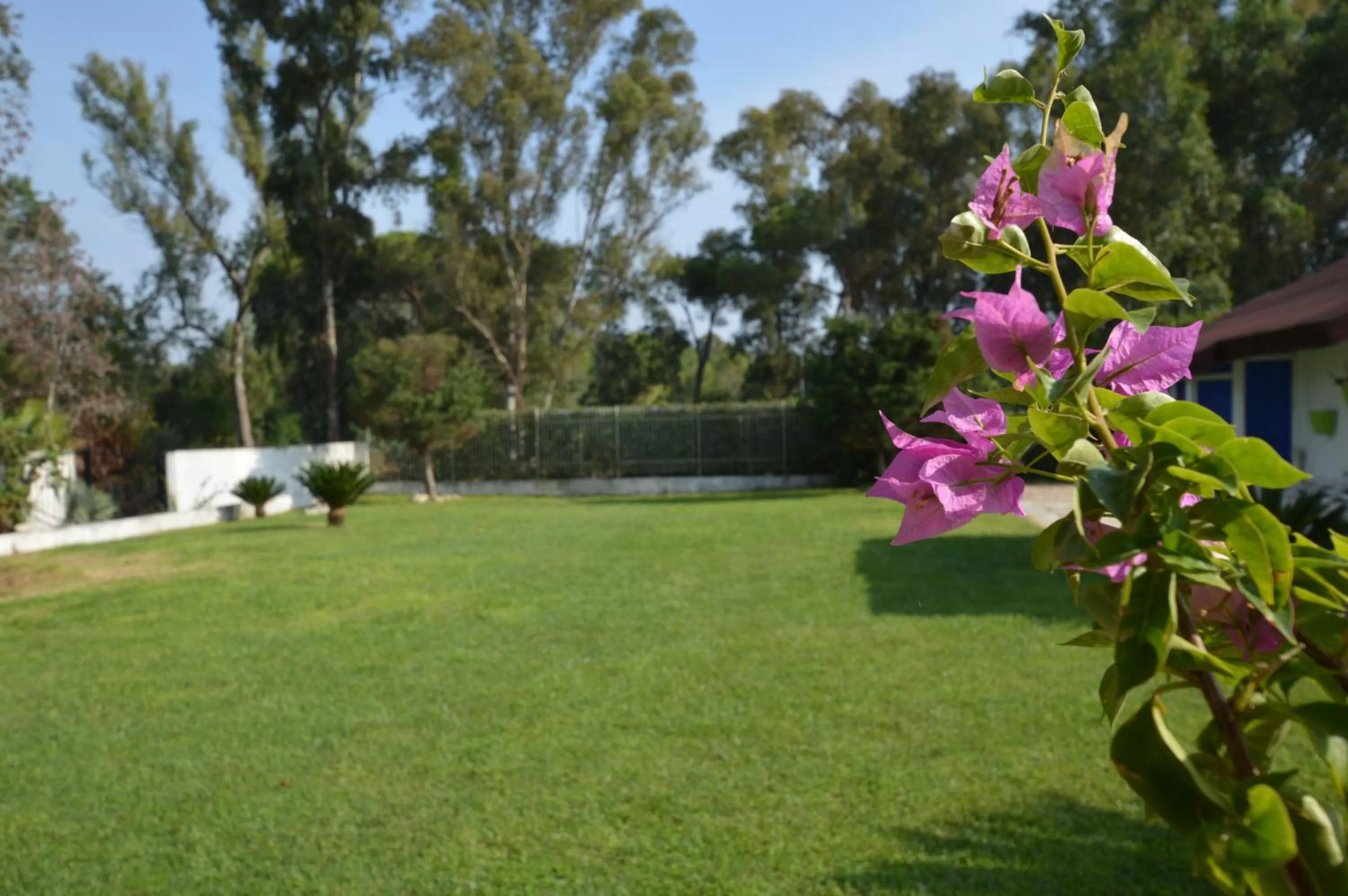 Day in Casa Blanca B&B