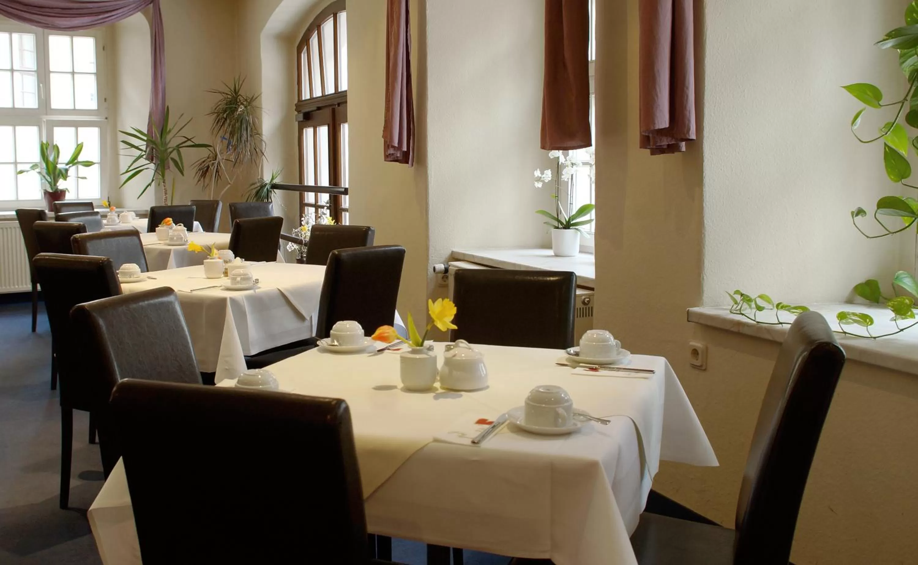 Food and drinks in Hotel Am Obermarkt