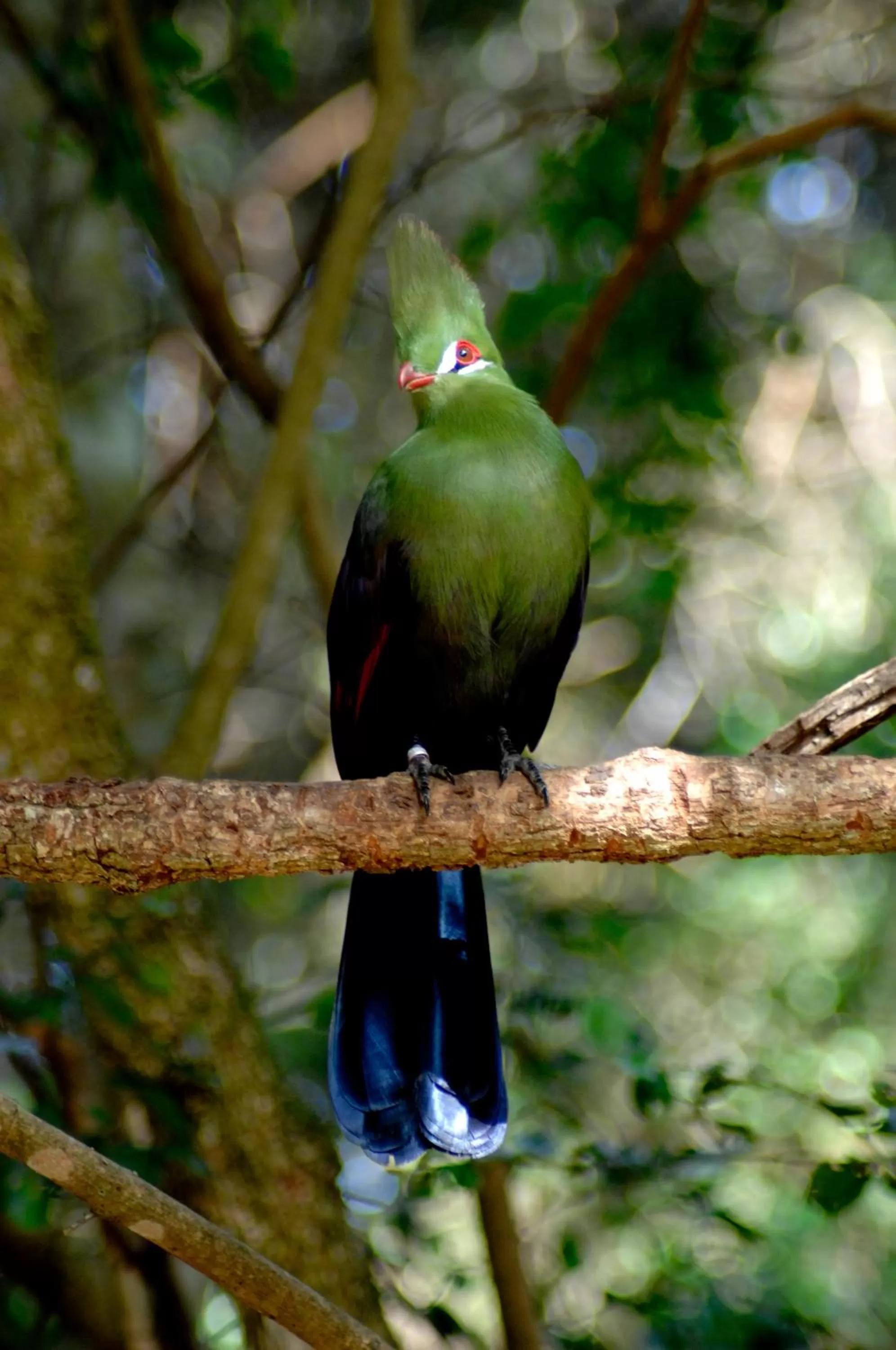 Natural landscape in Panoramic Blue B&B