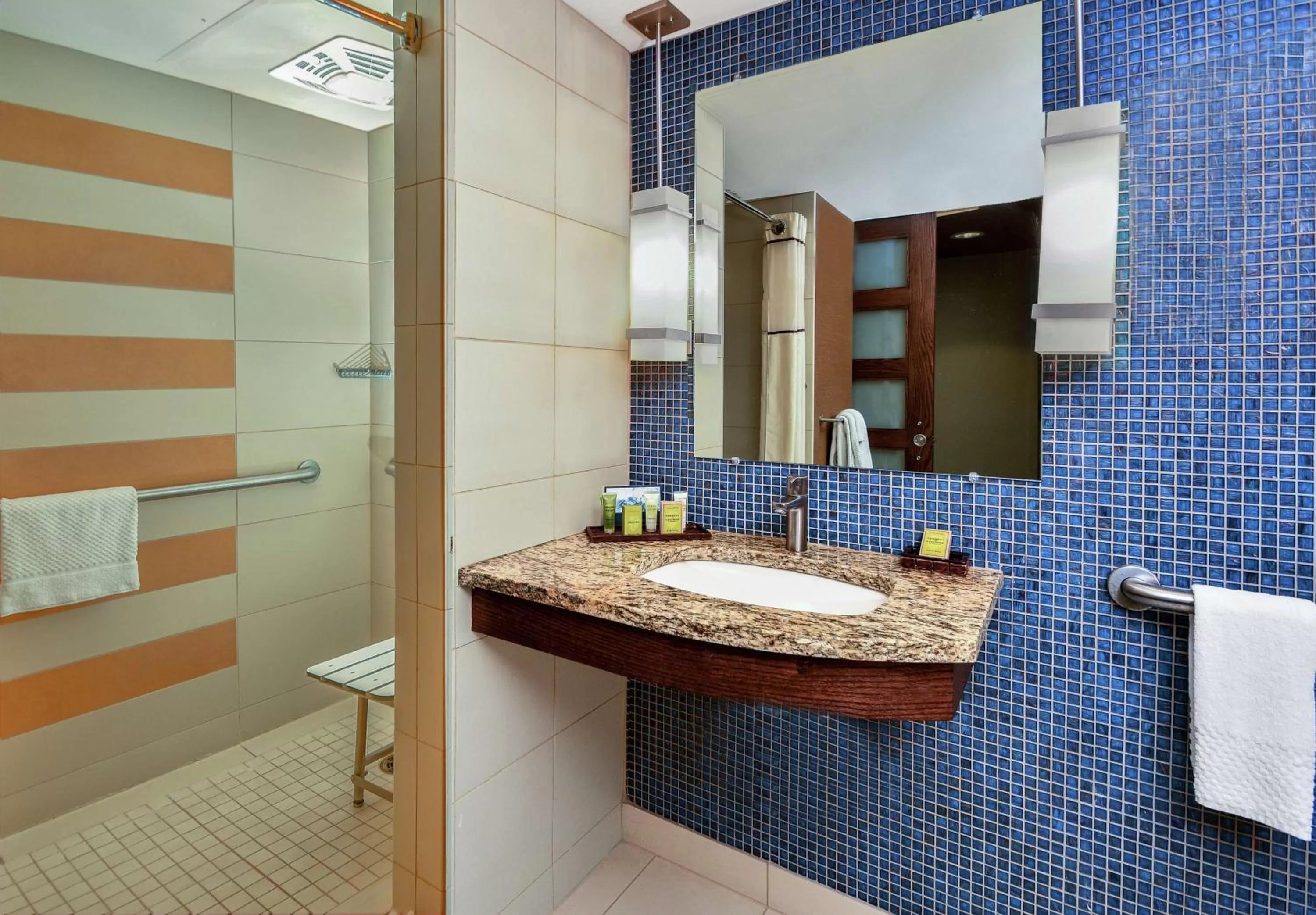 Bathroom in Hilton Palacio del Rio