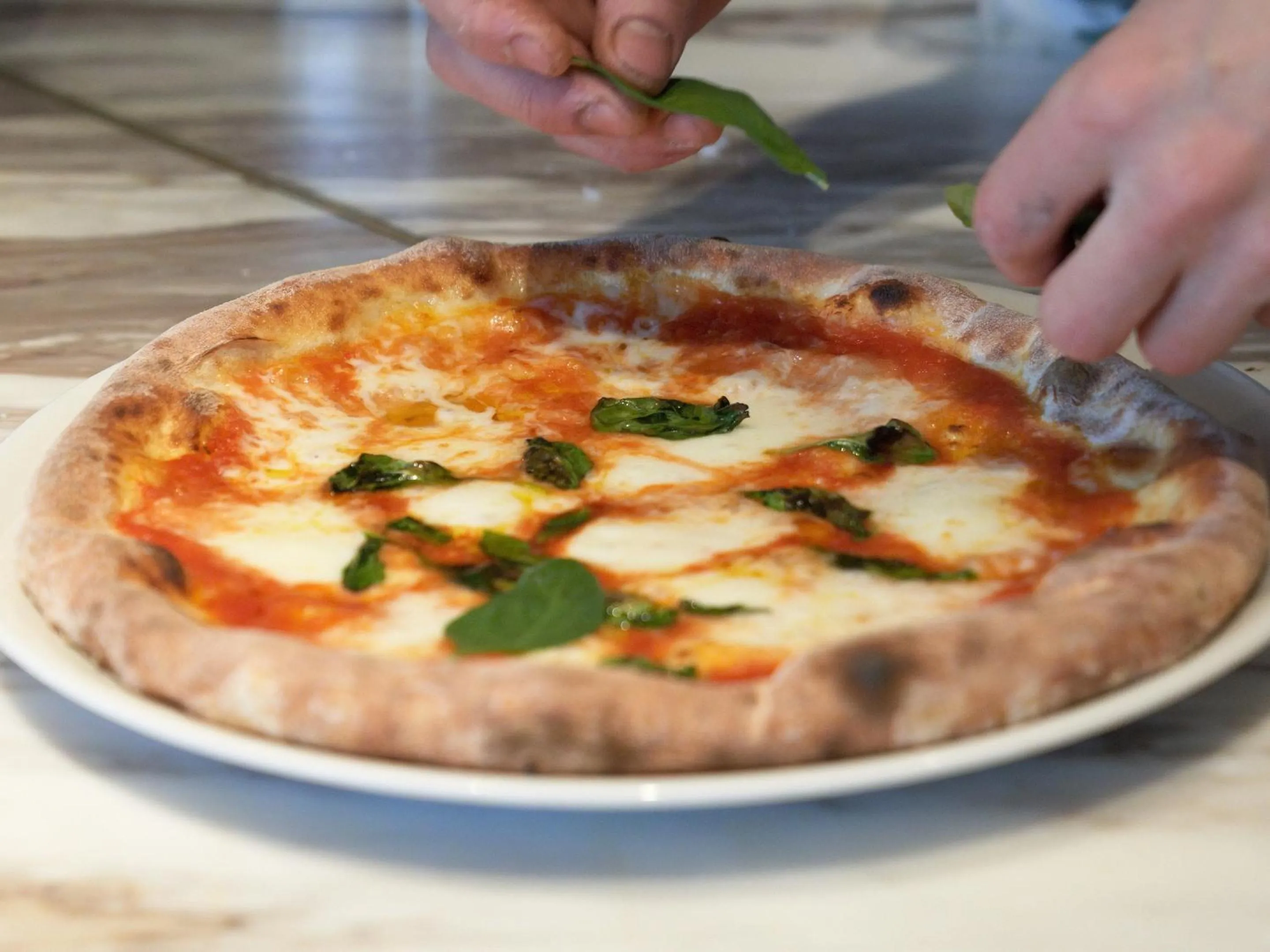 Food close-up in all day place shibuya