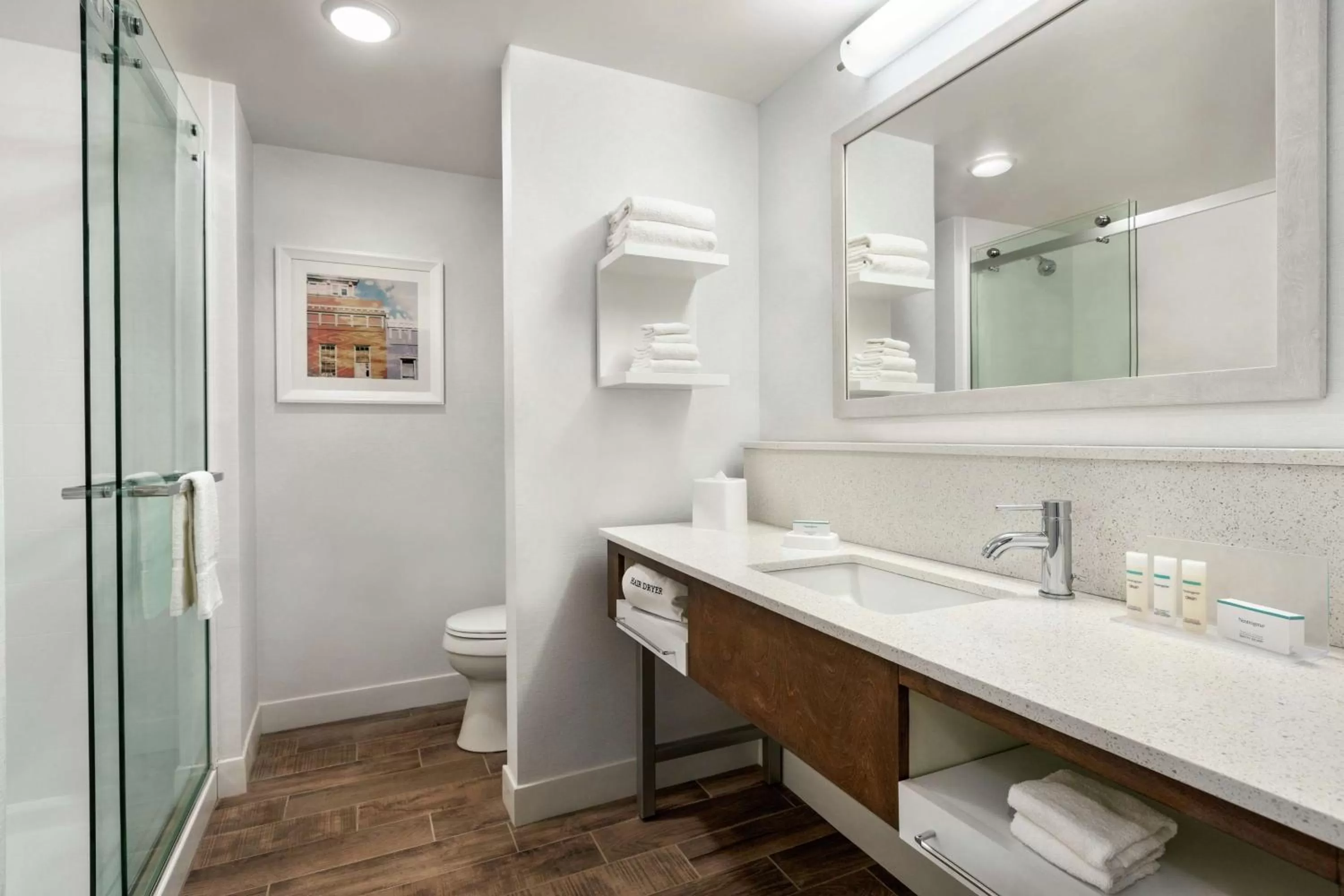 Bathroom in Hampton Inn And Suites By Hilton Johns Creek