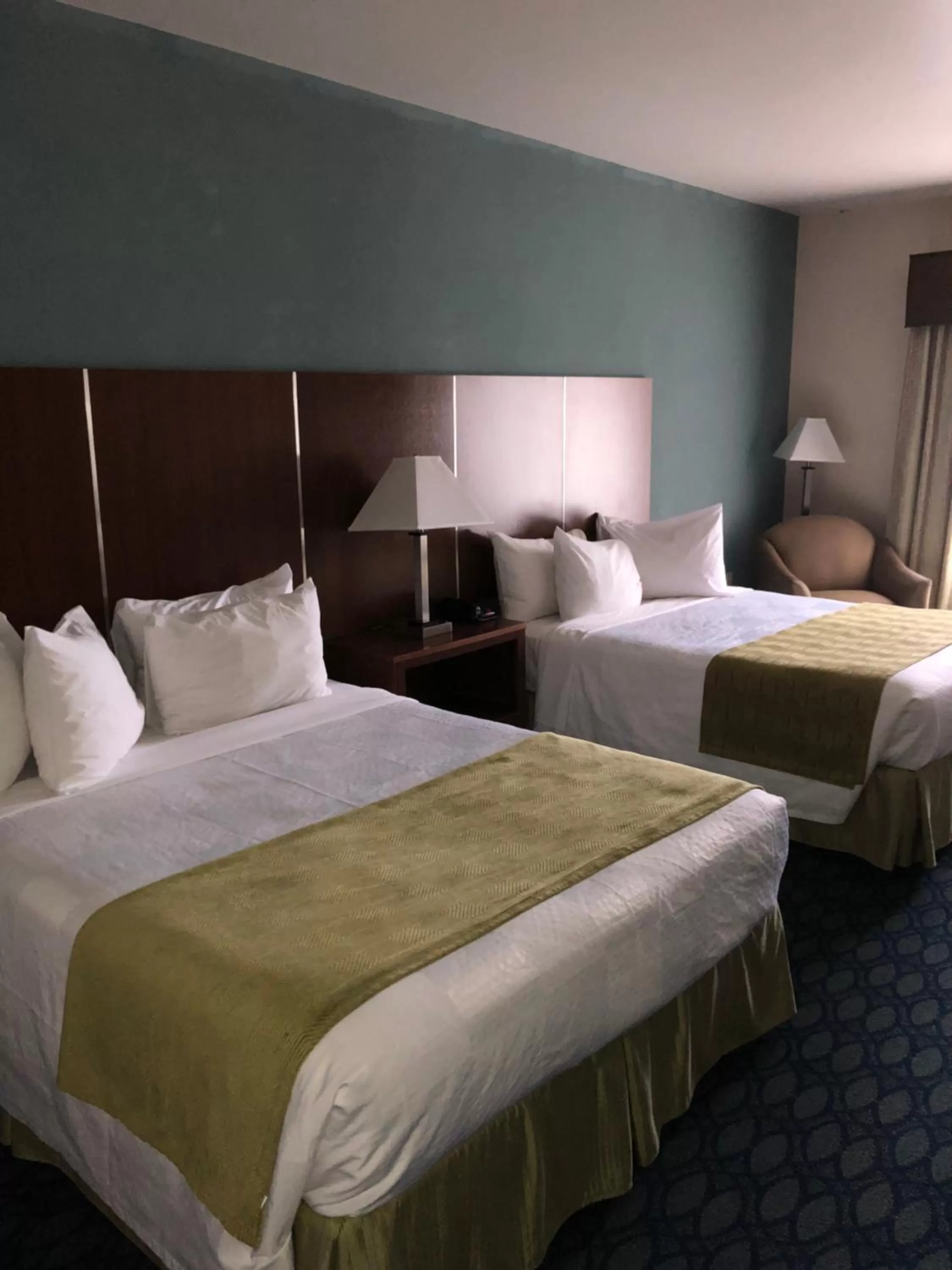 Bed in Countryview Inn & Suites