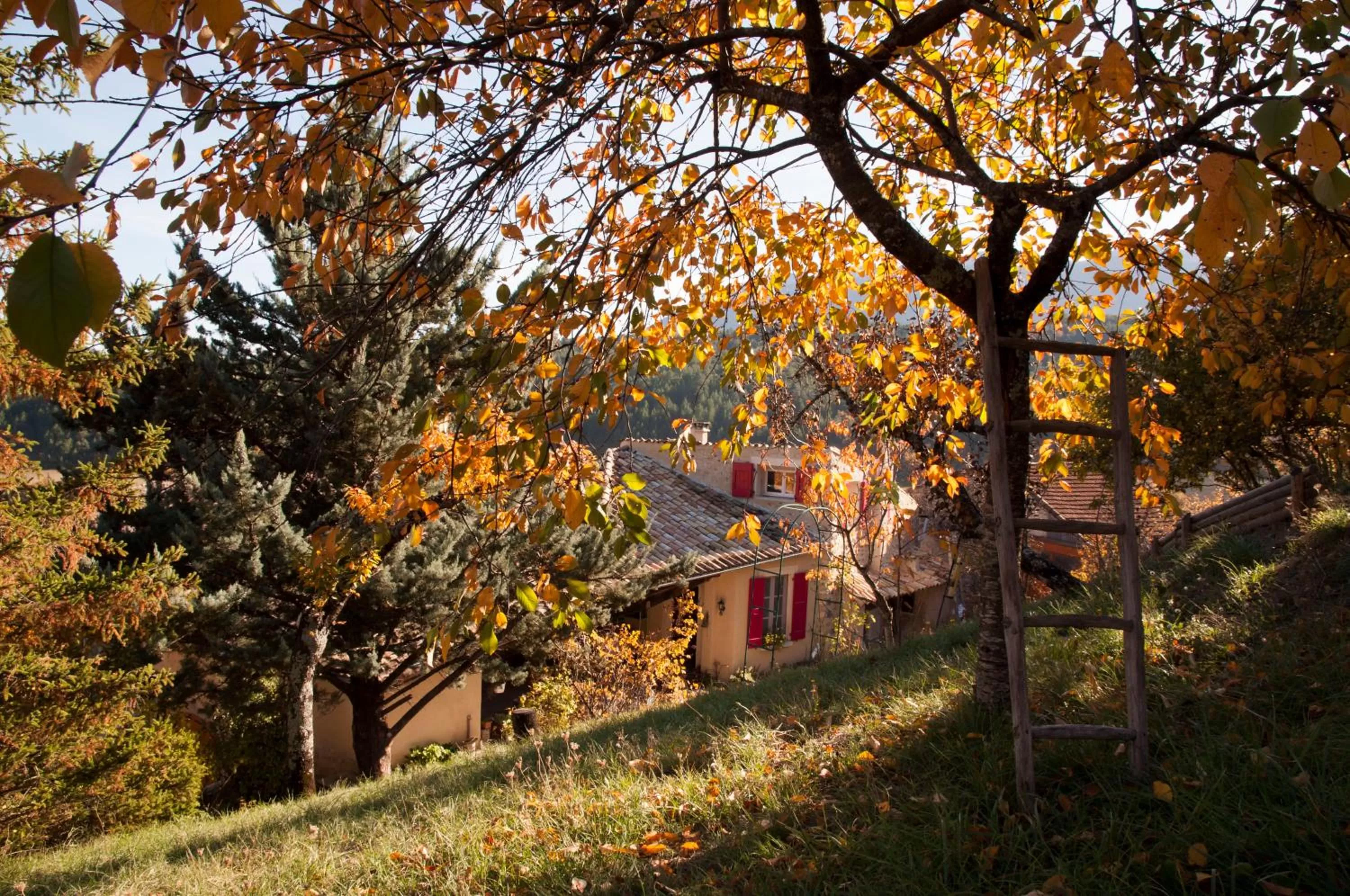 Facade/entrance in La Grange d'Agnès