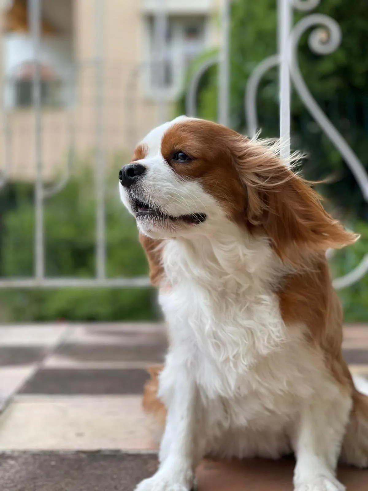 Property building in Hôtel La Fiancée du Pirate