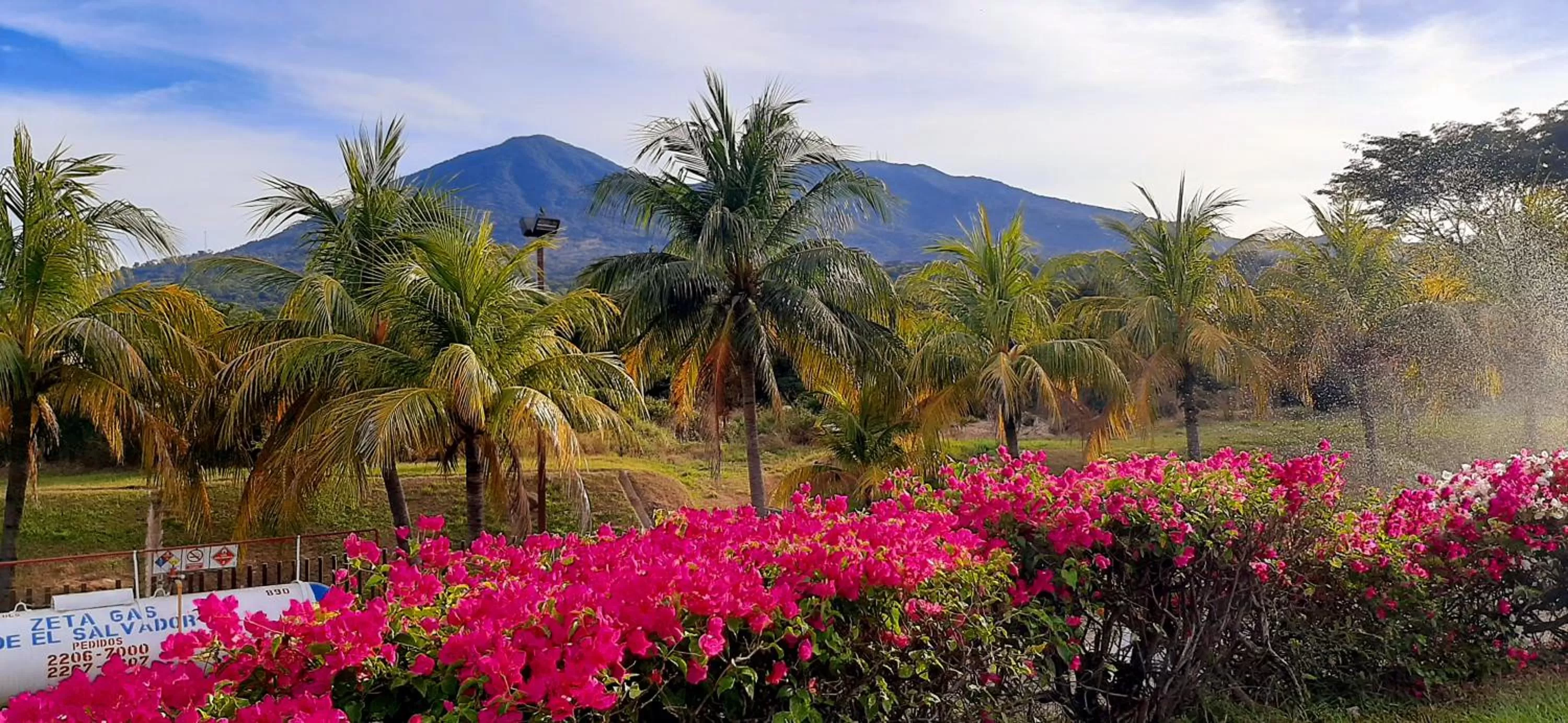 Garden in Comfort Inn Real La Union