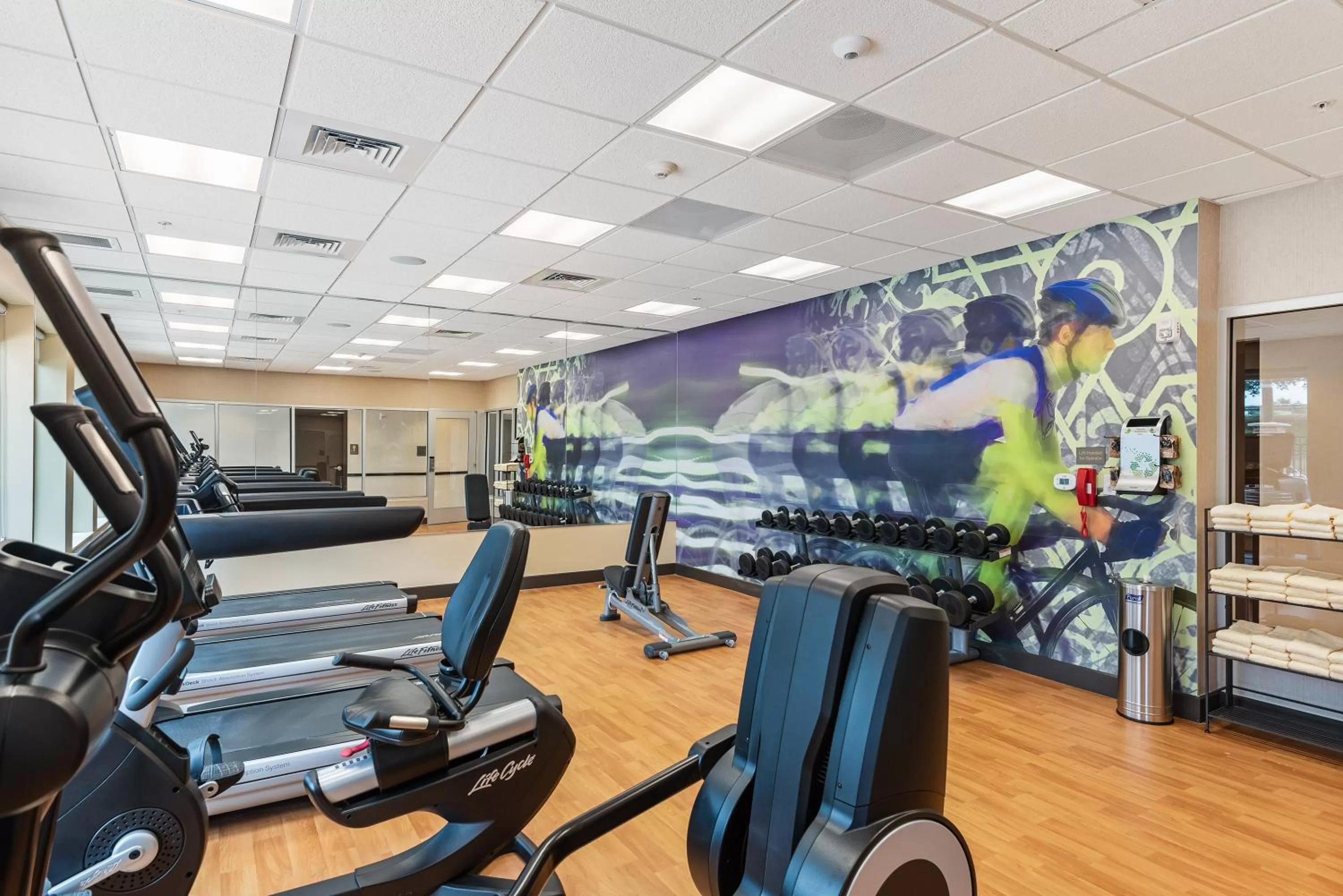 Fitness centre/facilities in Hyatt Place Tampa/Wesley Chapel