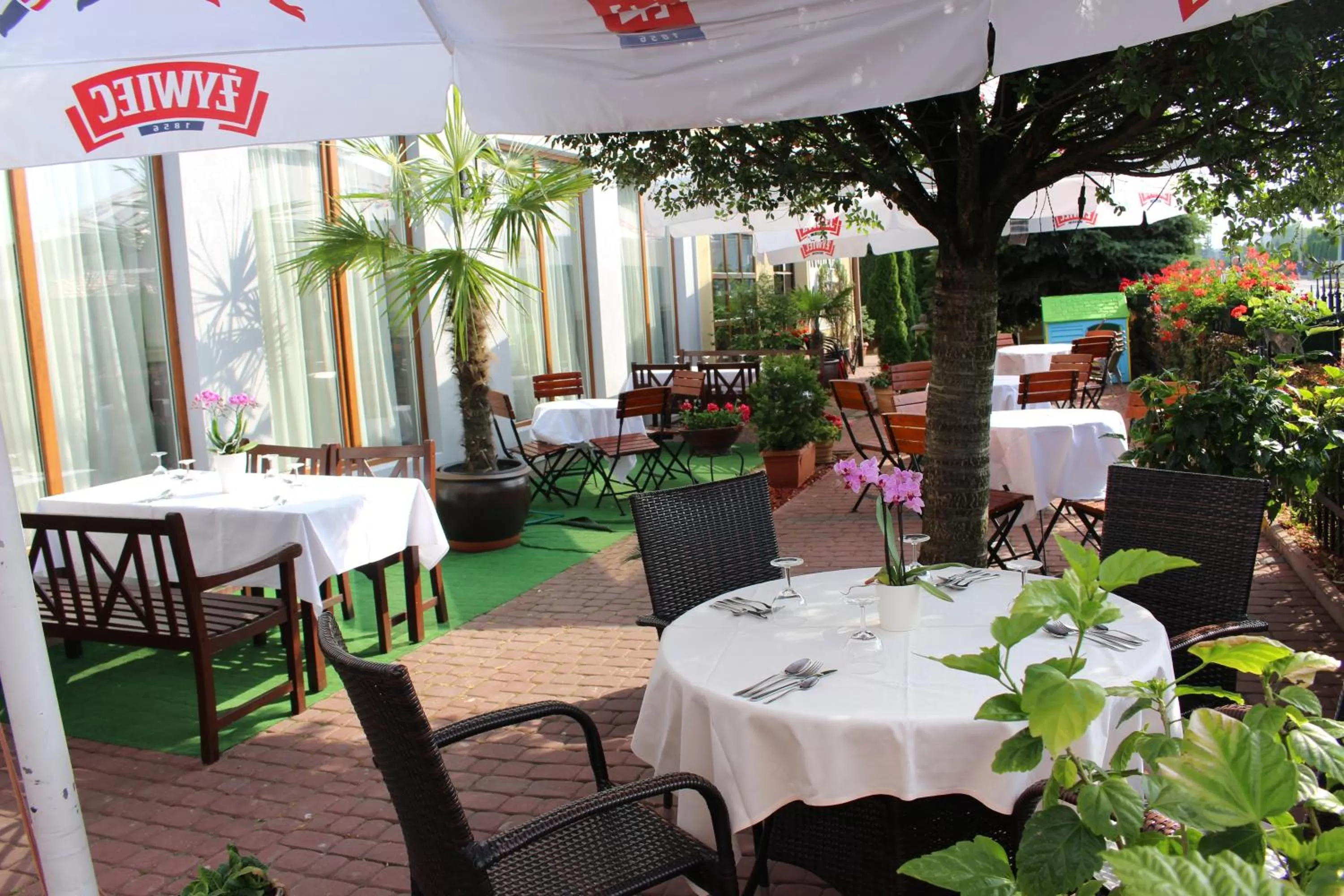 Restaurant/places to eat in PIANO CAFE b&b