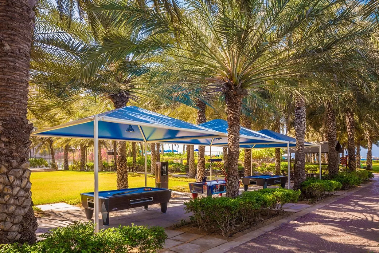 Garden in Coral Beach Resort Sharjah