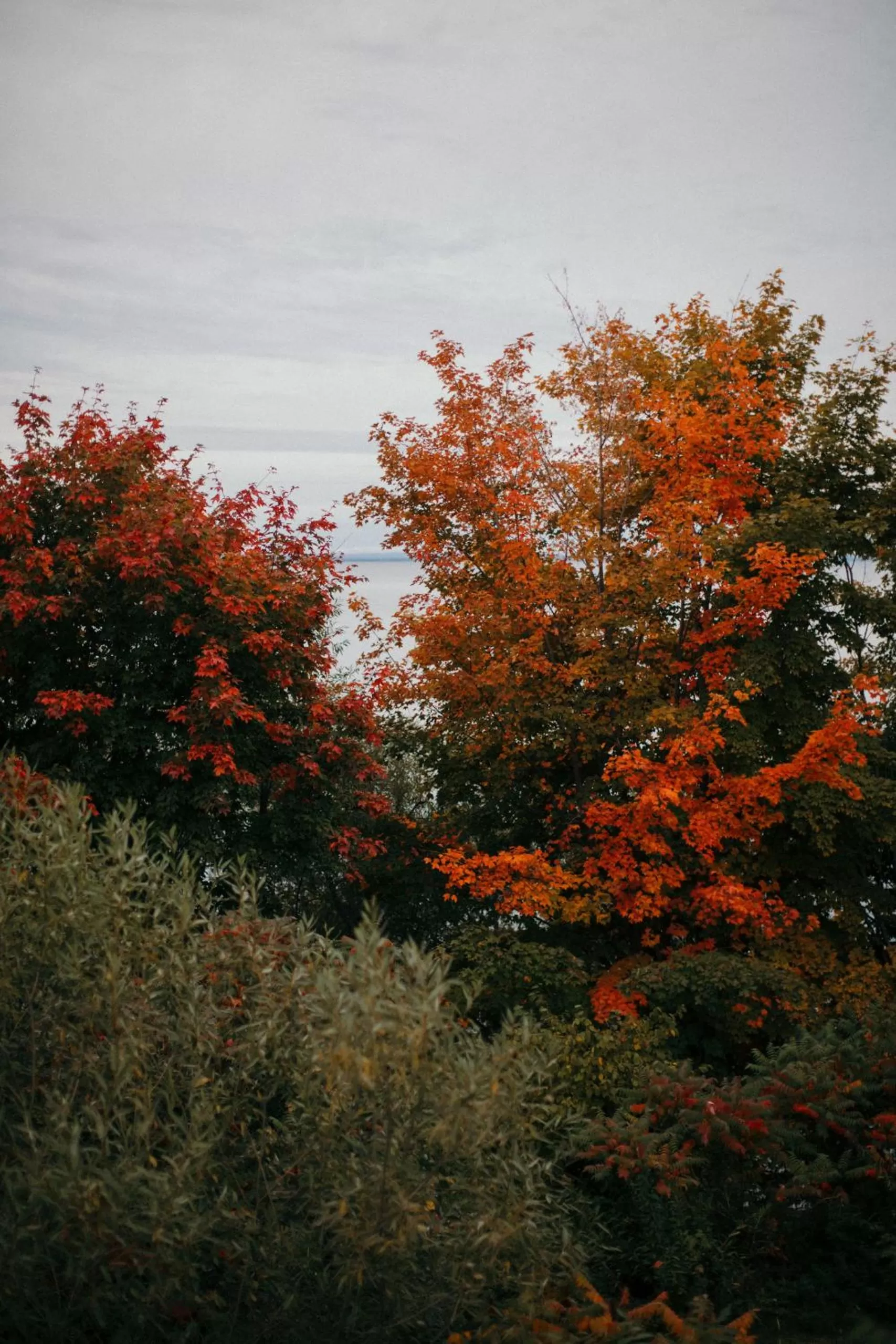 Other in Seagull Bay Motel