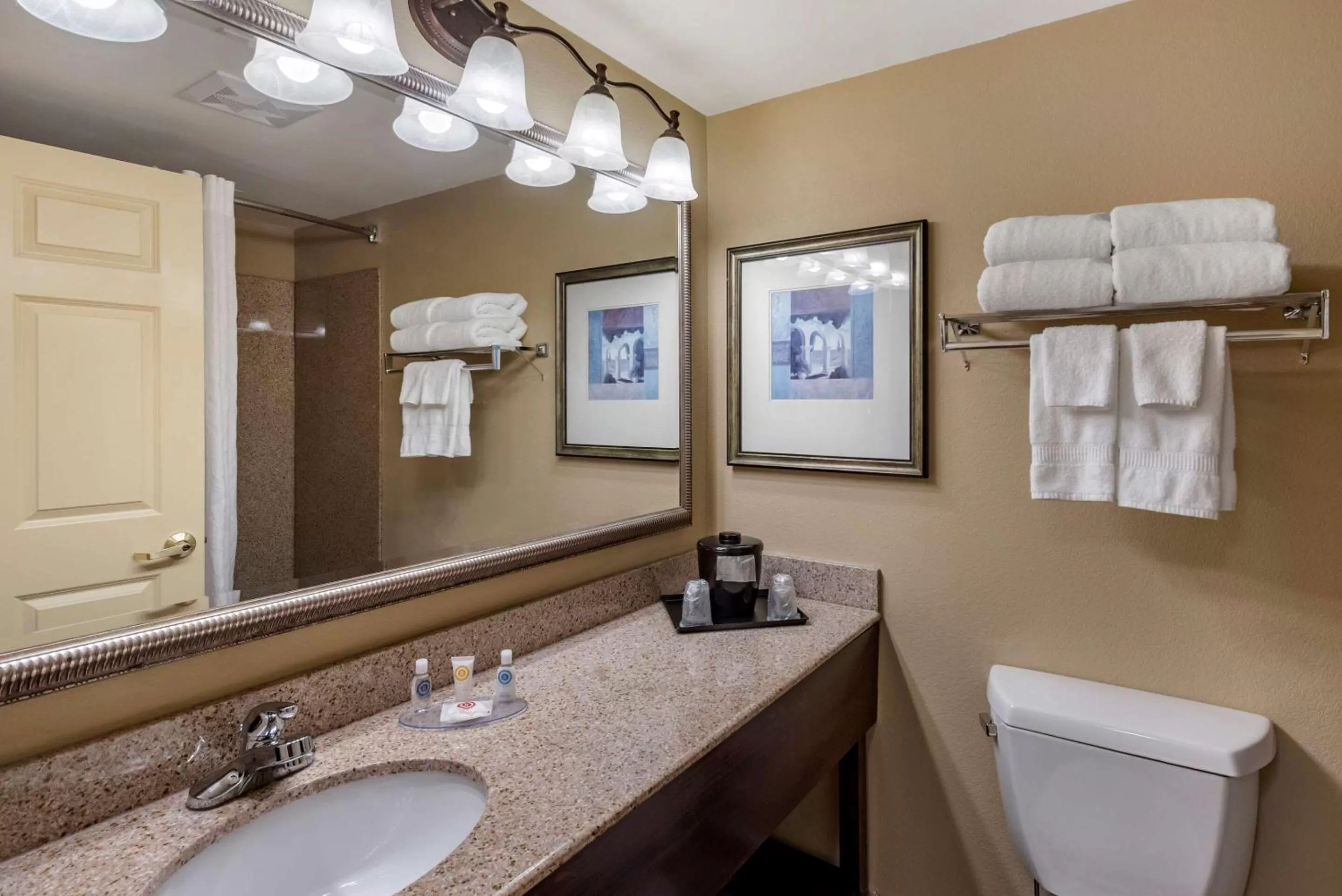 Bathroom in Comfort Inn & Suites Virginia Beach - Norfolk Airport