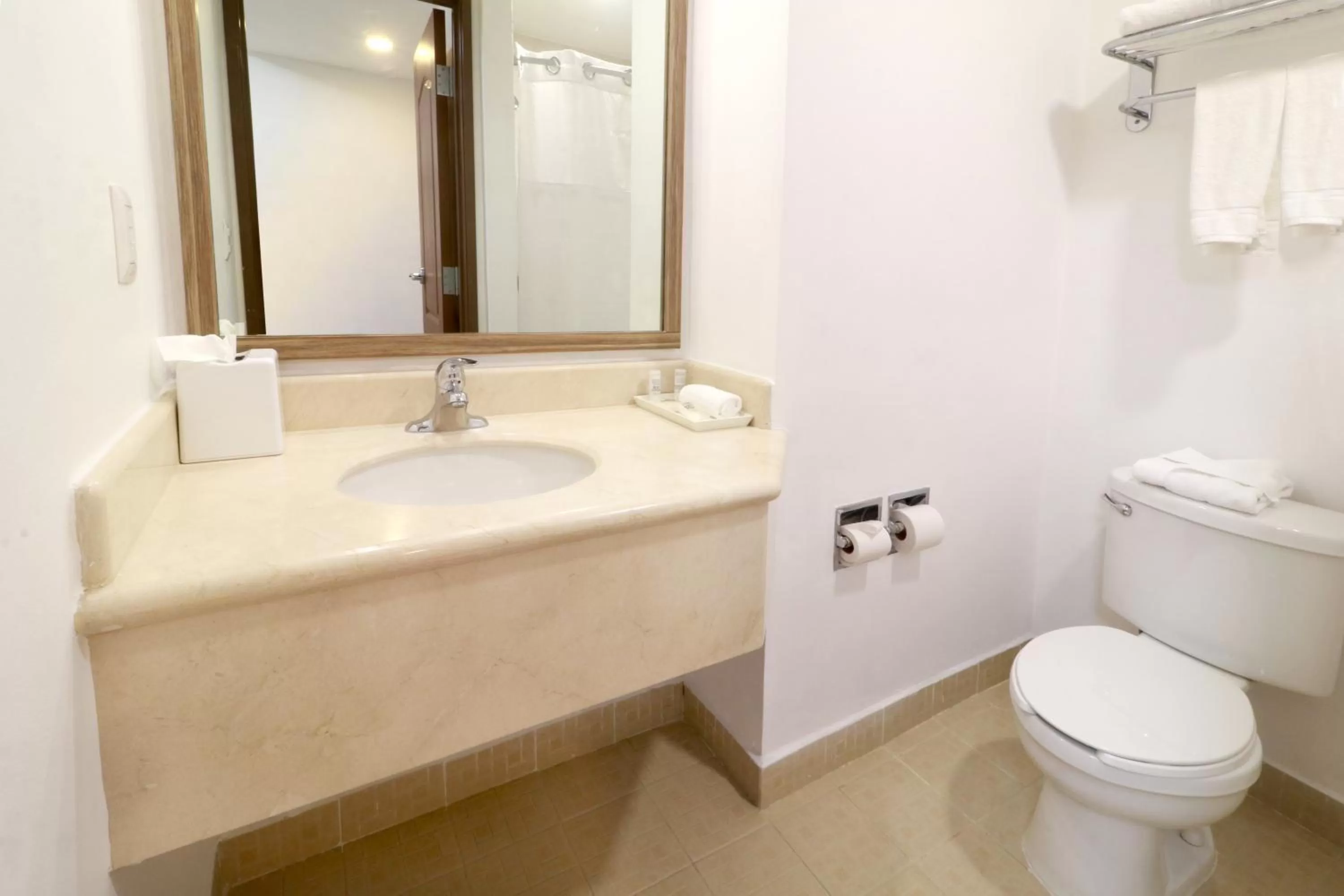 Bathroom in Wyndham Garden Monterrey Valle Real