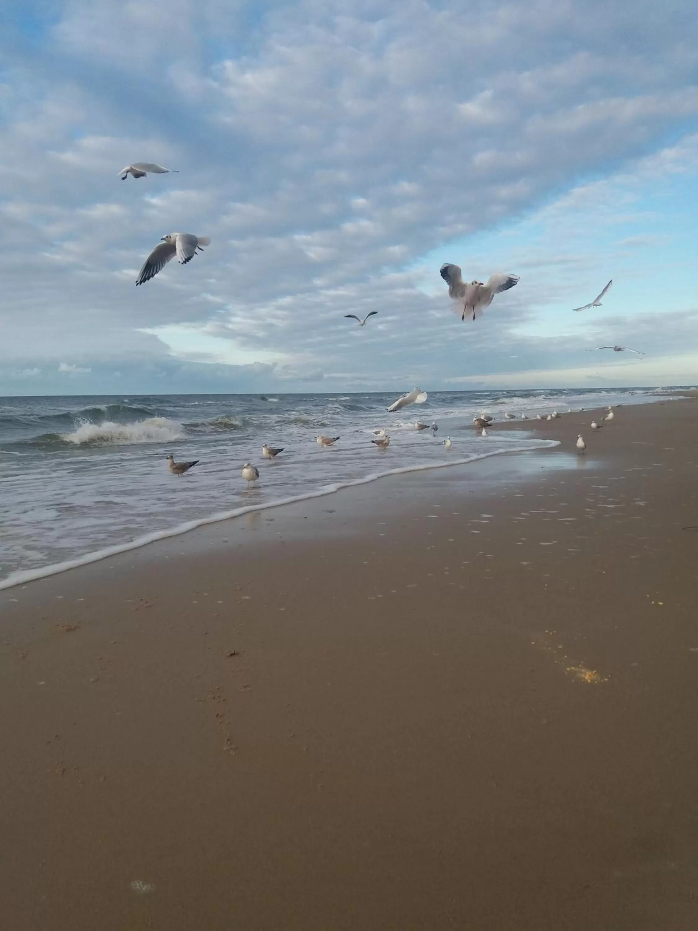 Sea view in Interferie Cechsztyn