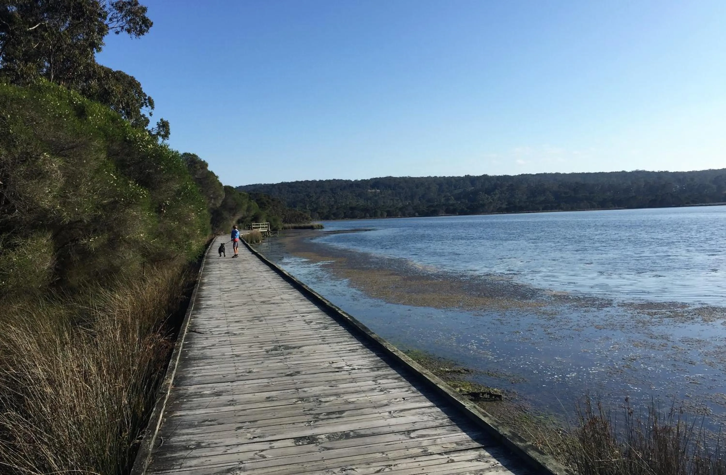 Nearby landmark in Coachman's Eden