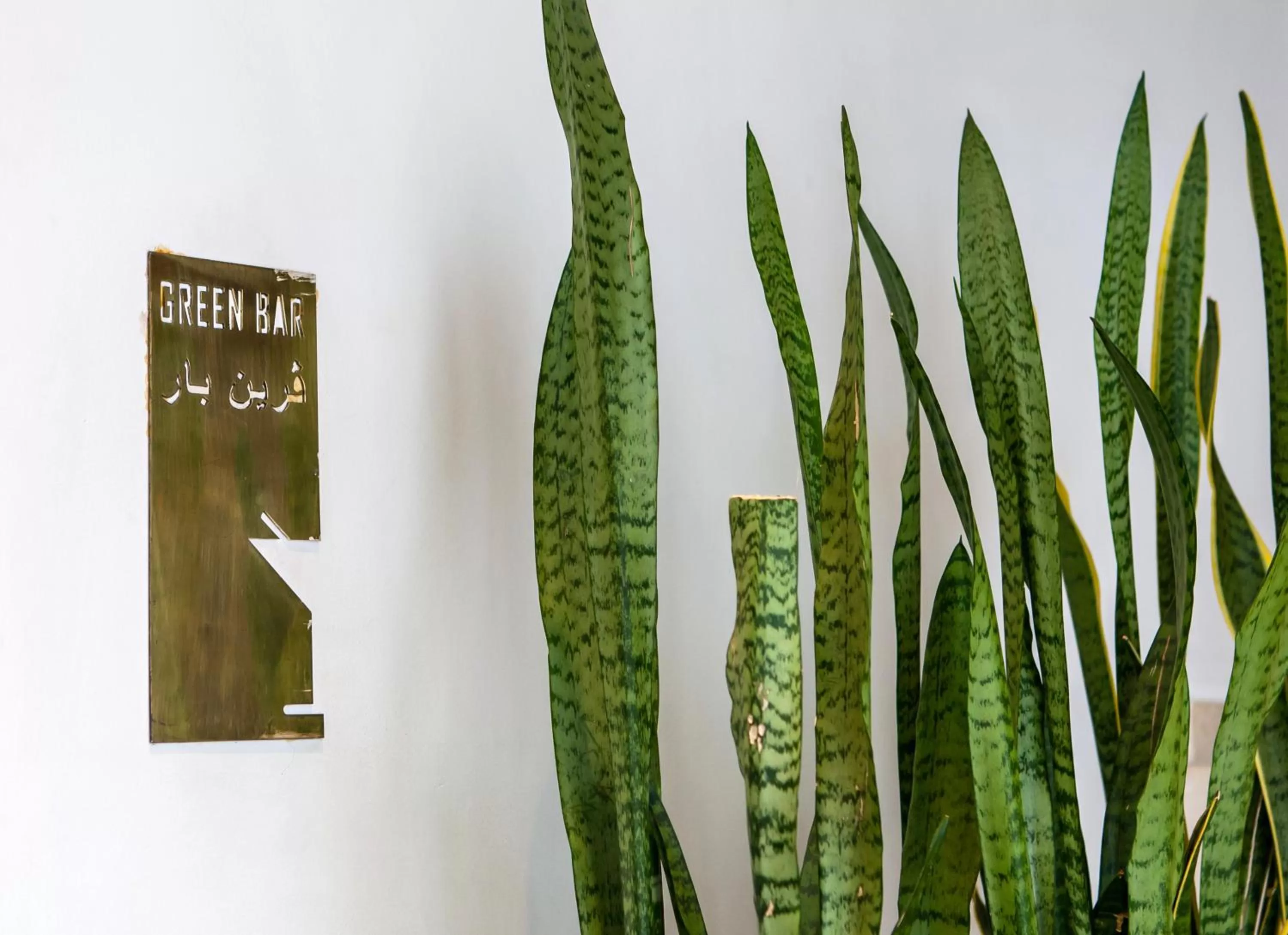 Lounge or bar in Golf Royal Hotel