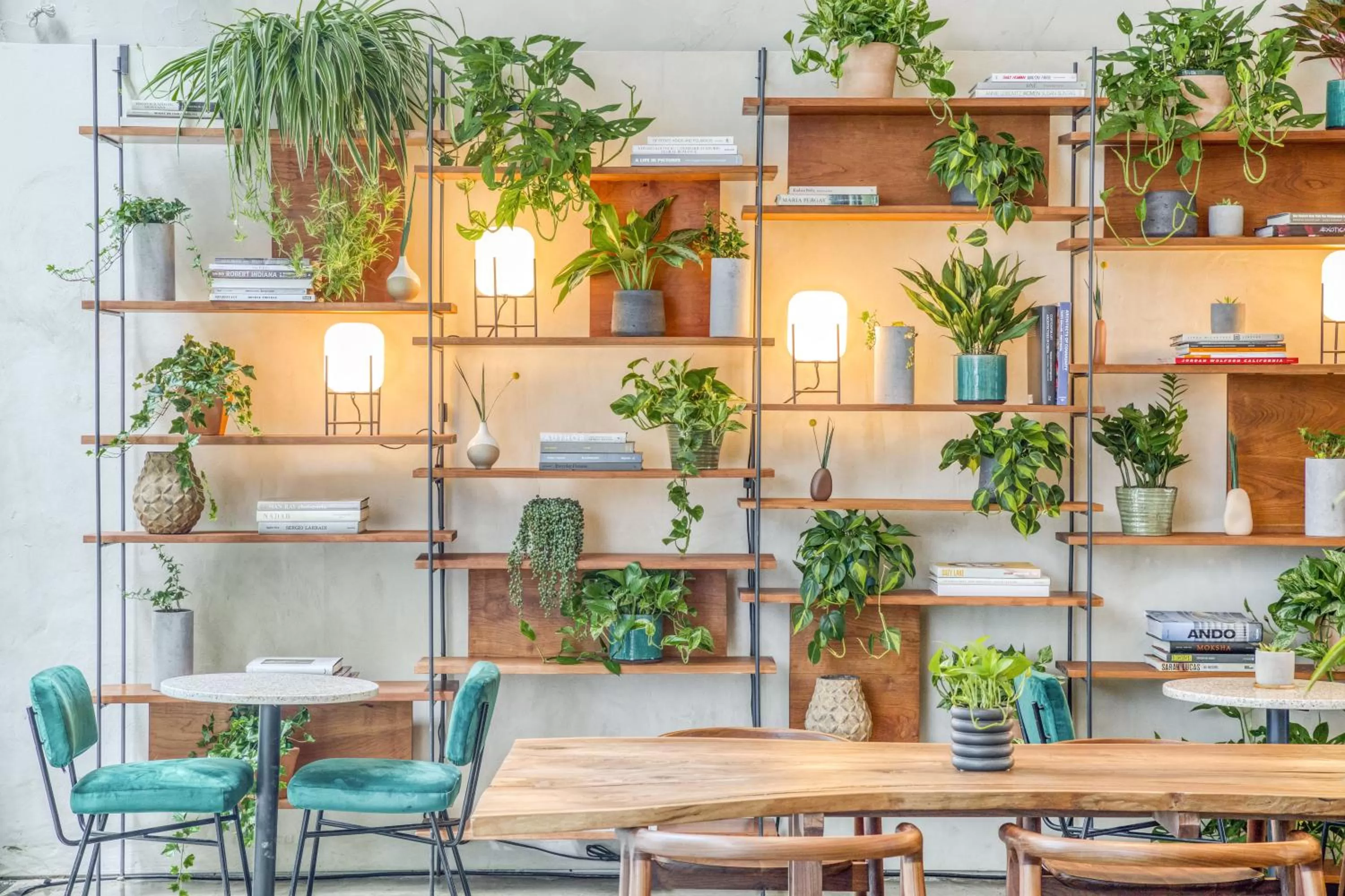 Restaurant/places to eat in Selina Chelsea