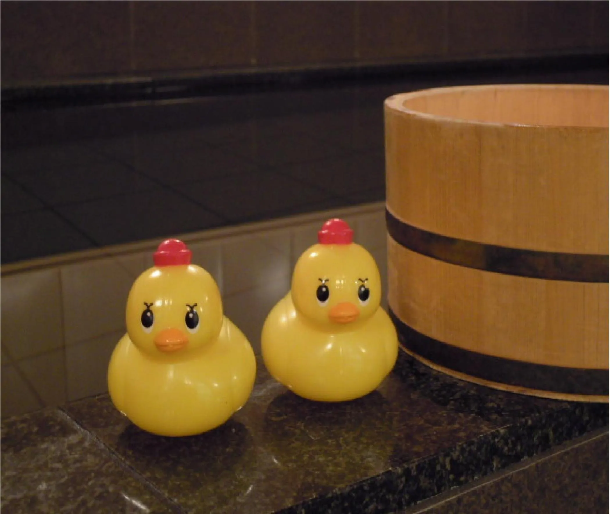 Spa and wellness centre/facilities in Niigata Park Hotel