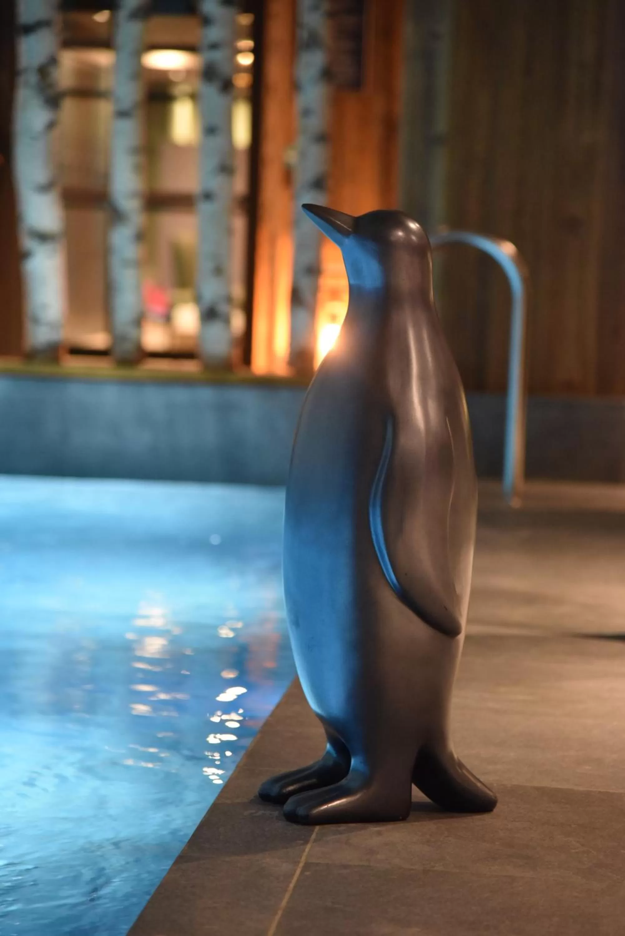 Swimming pool in Hotel MONT-BLANC VAL D'ISERE