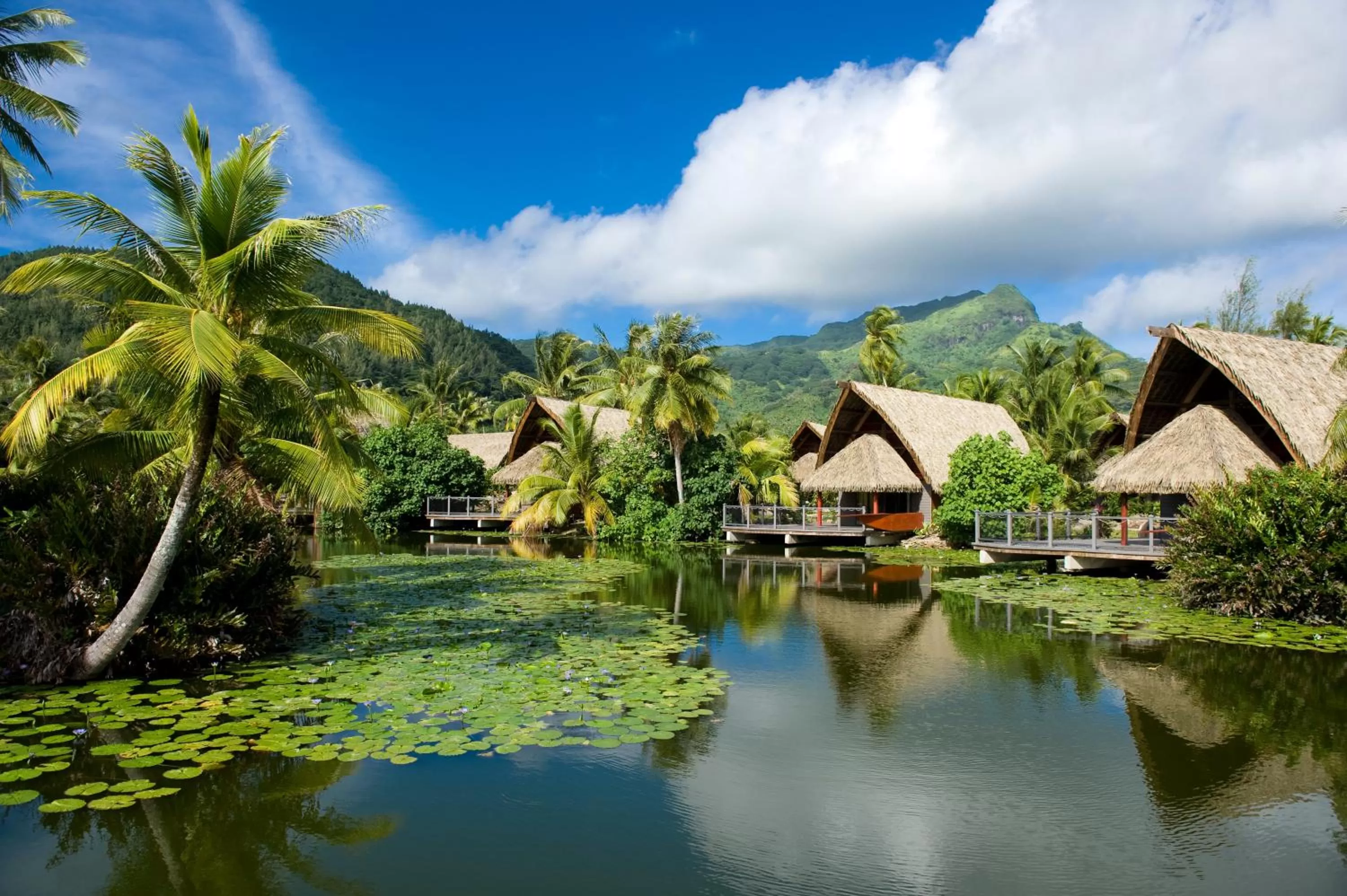 Facade/entrance in Maitai Lapita Village Huahine