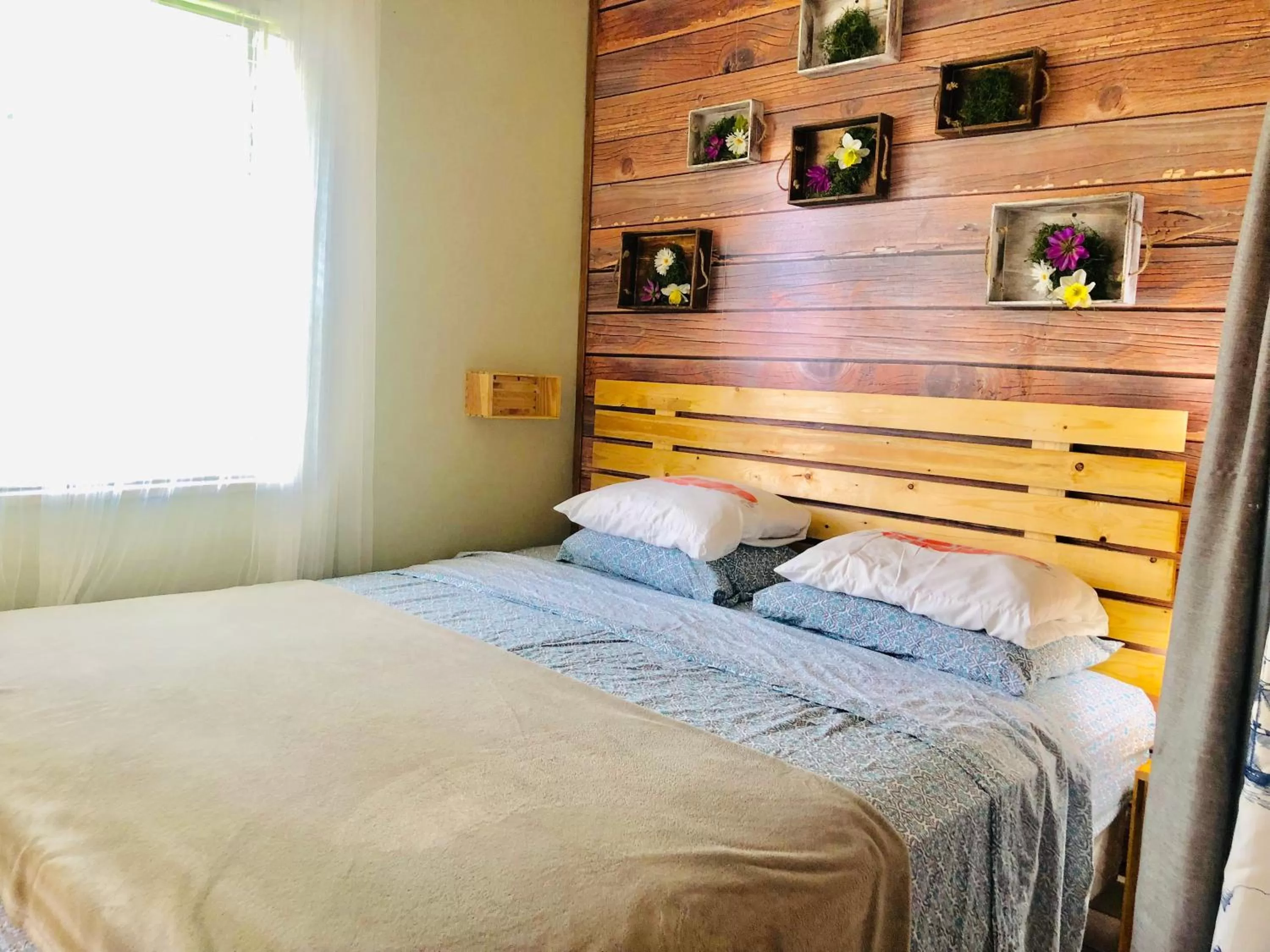 Bed in Hollywood Light Haven Lodge