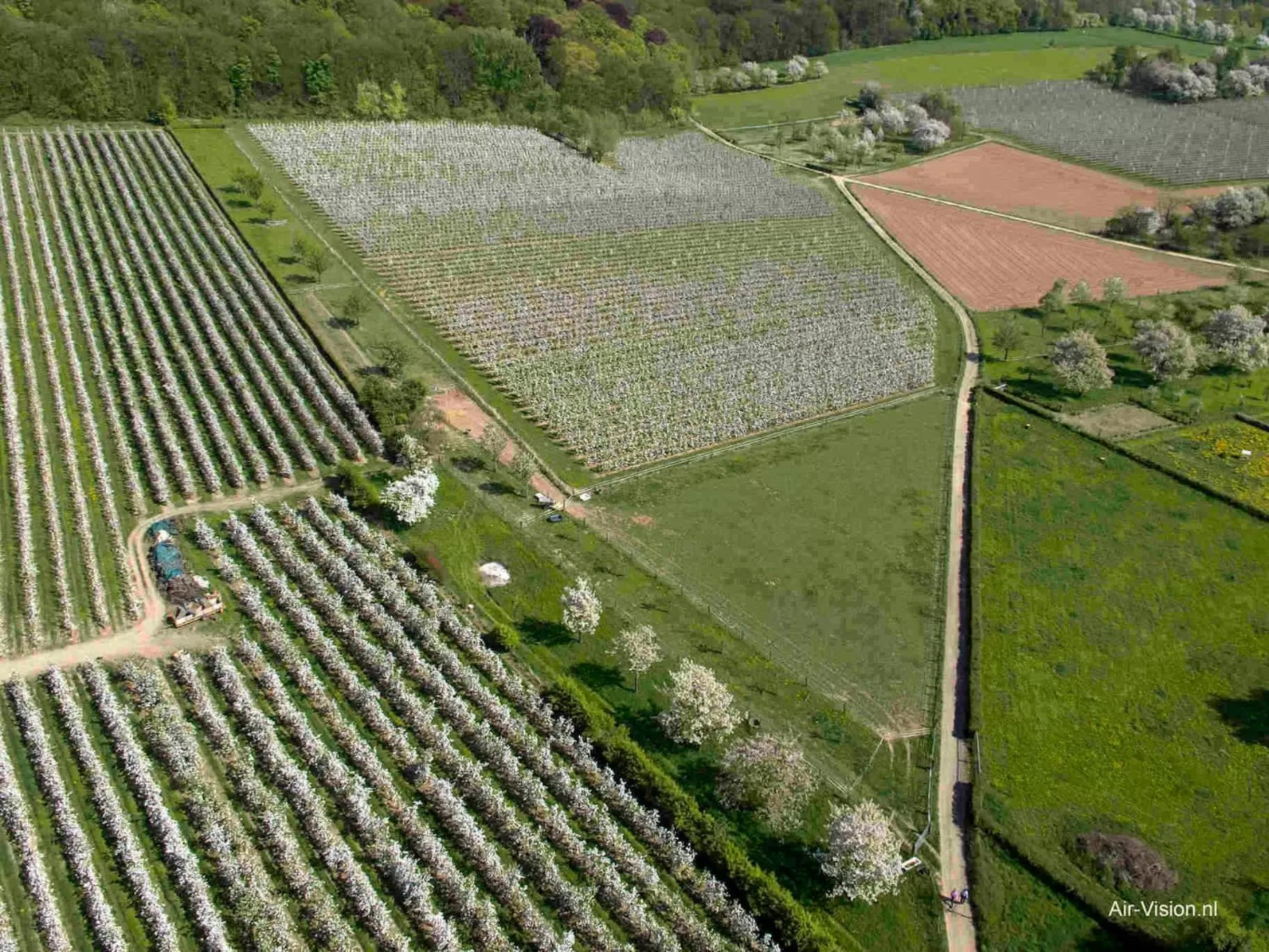 Other, Bird's-eye View in B&B - Eetcafe - Riekelt