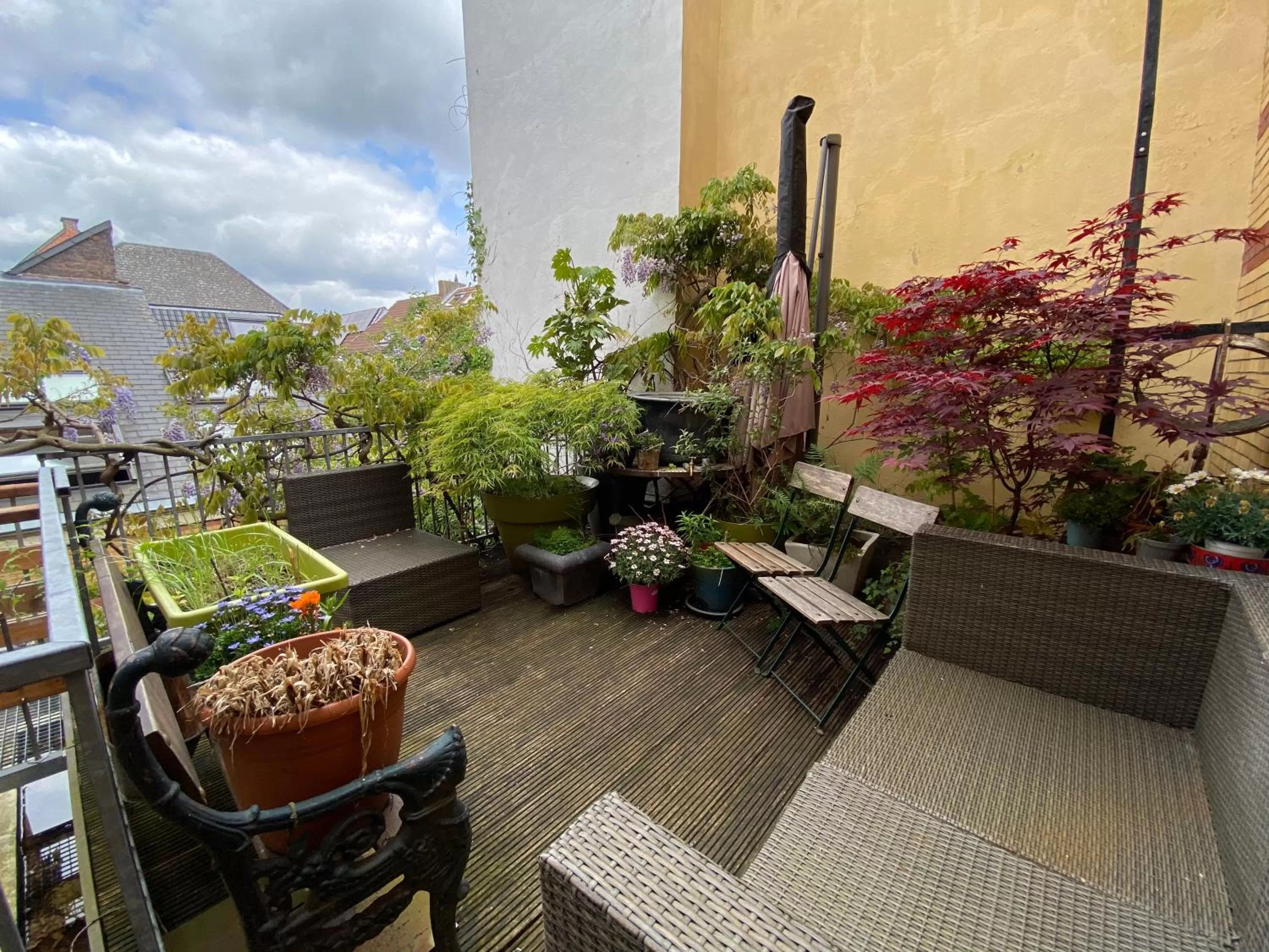 Balcony/Terrace in Lunatree