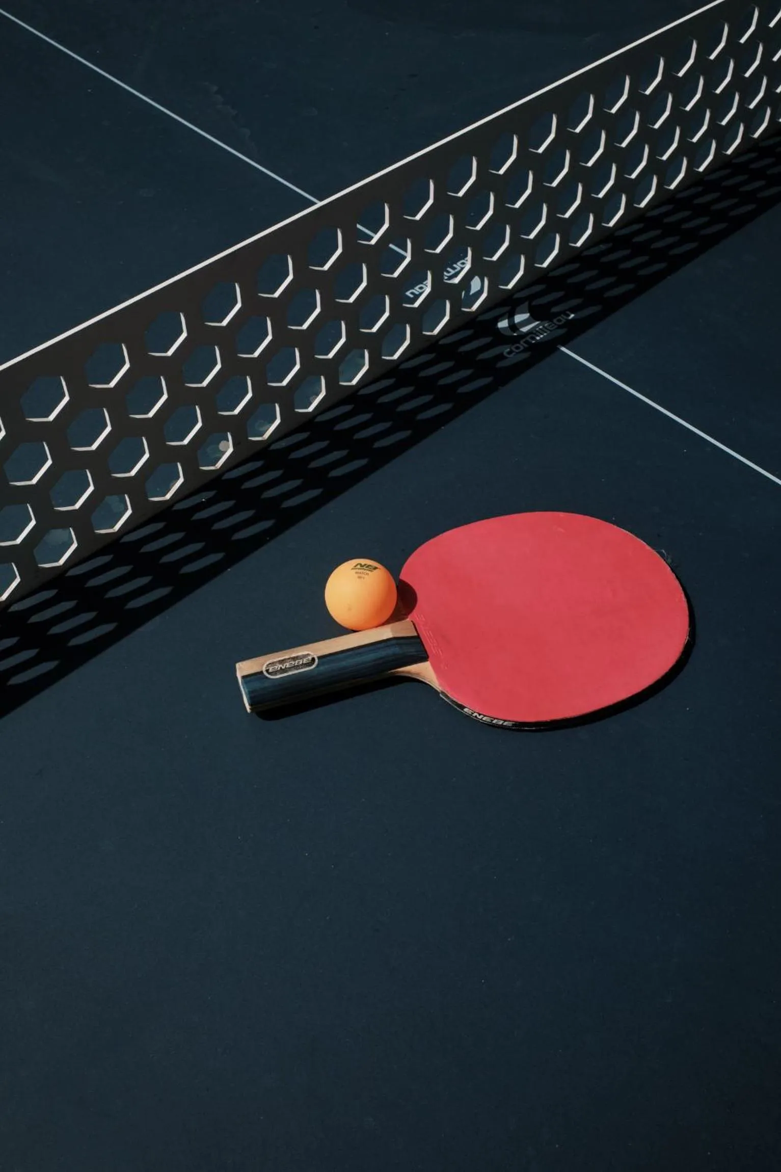 Table tennis in Prinsotel La Pineda